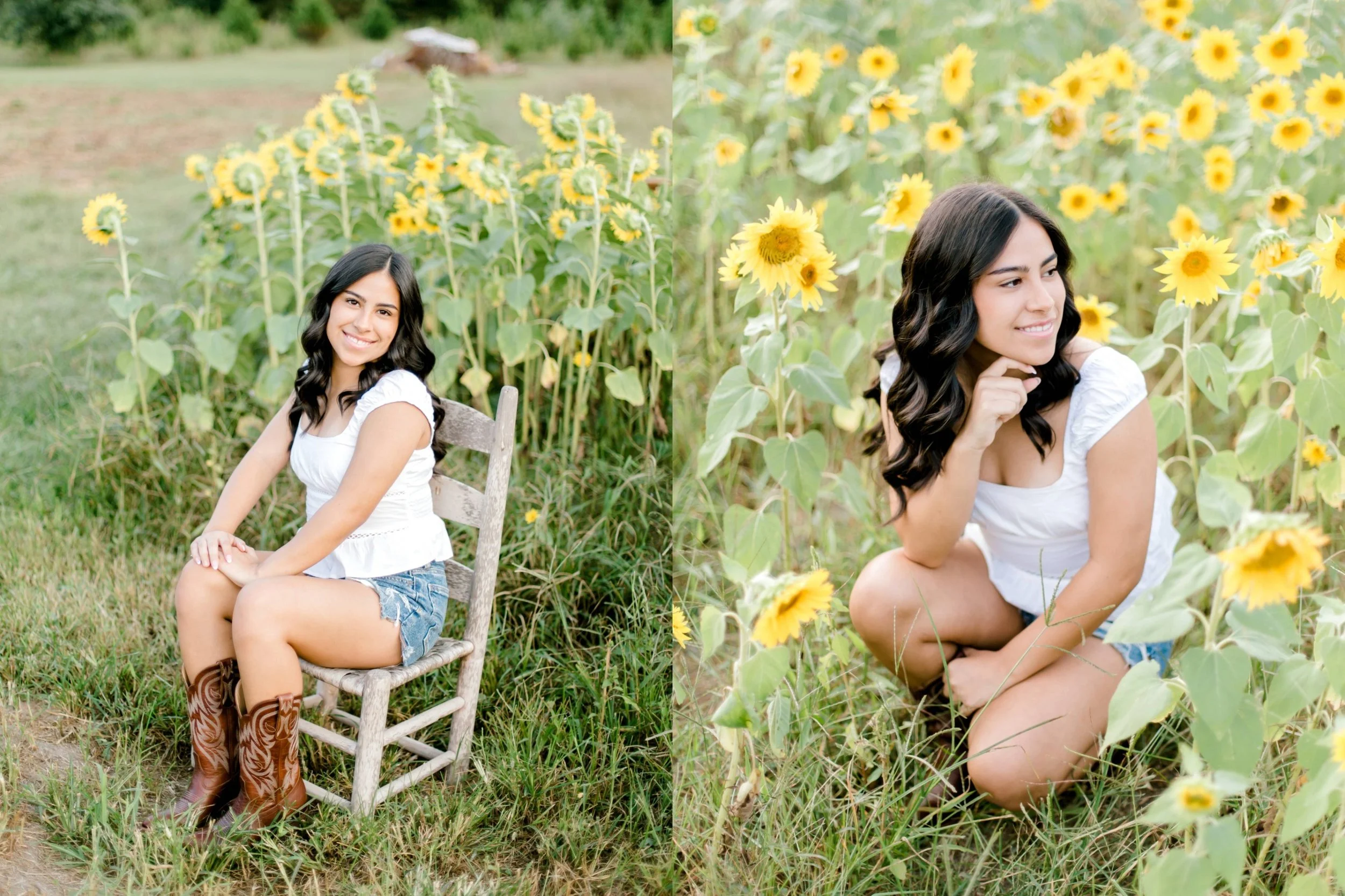 My project - 2025-09-22T190656.660.jpeg