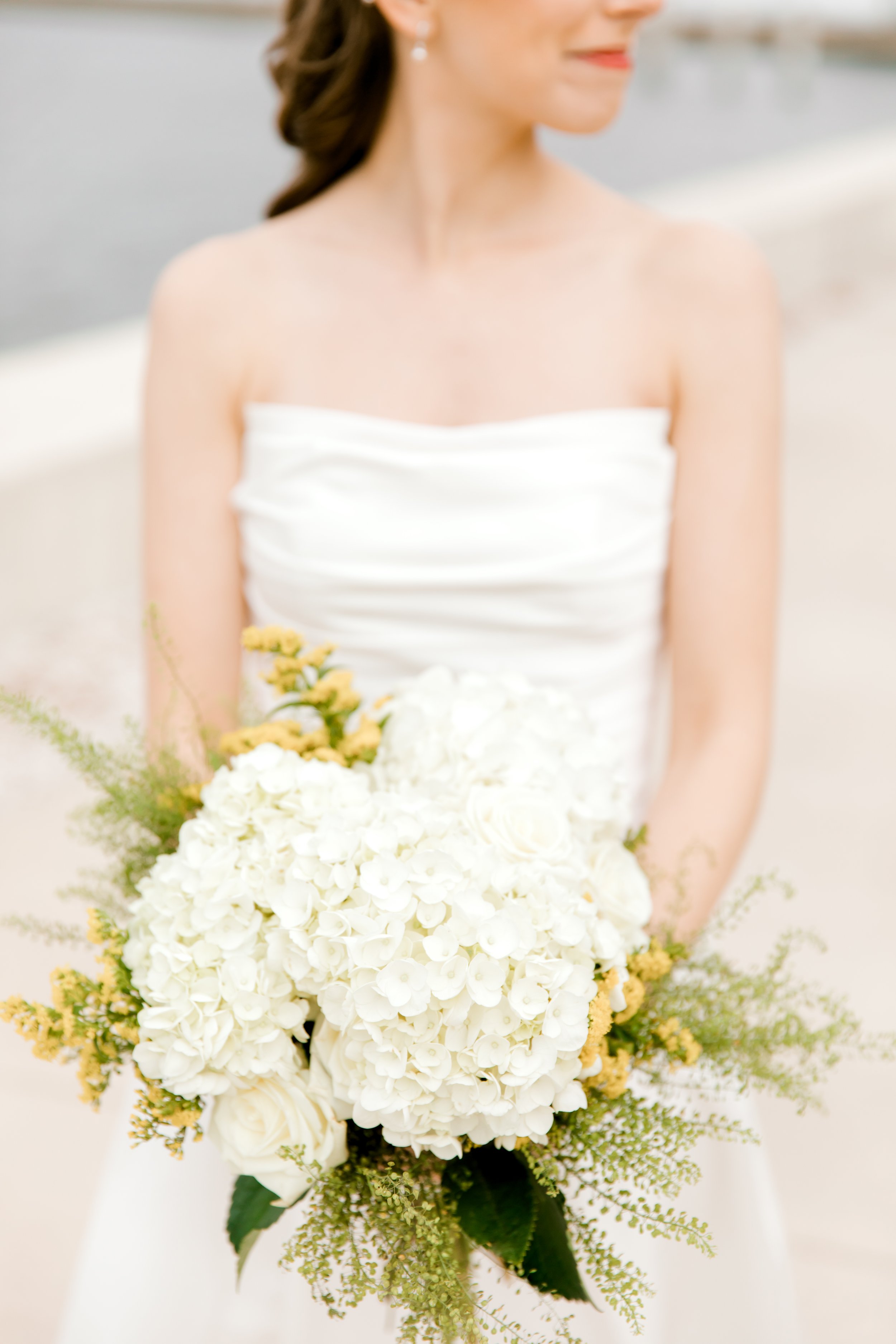 T & C Previews12.jpg