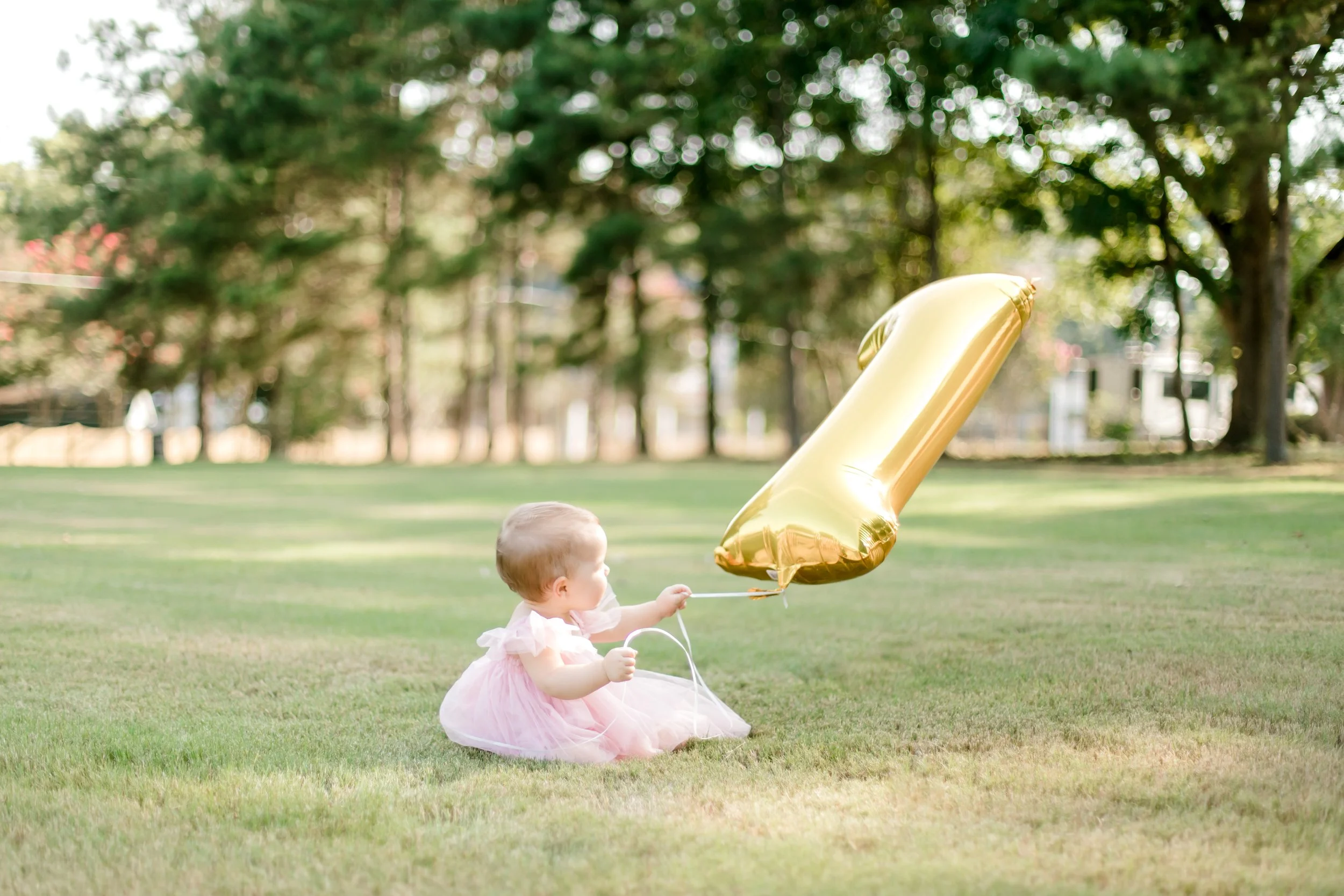 Sophia's First Birthday10.jpg