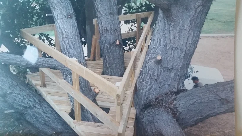 Tree platform for a Margaret River property.