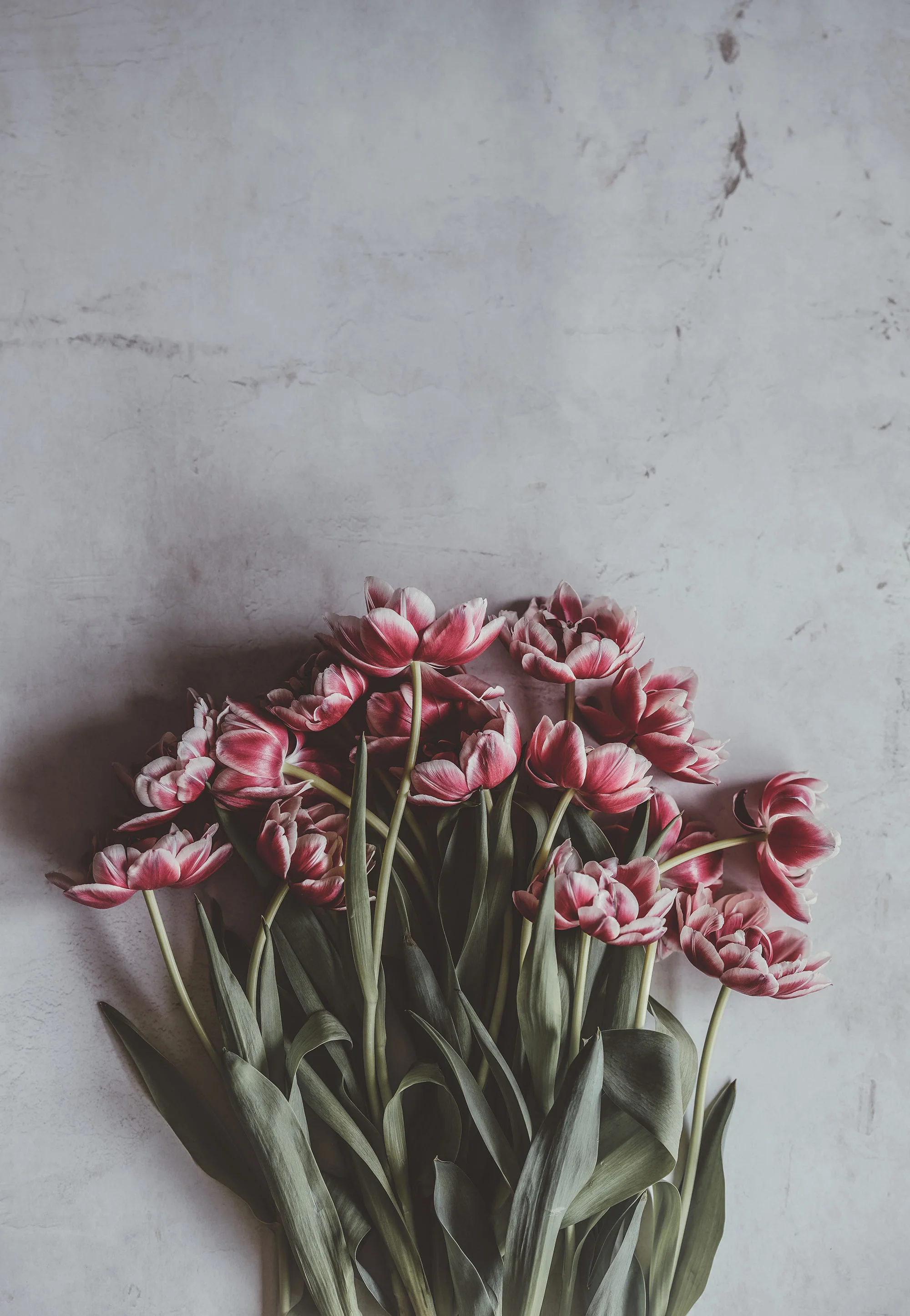 annie-spratt-651321-unsplash-klein.jpg
