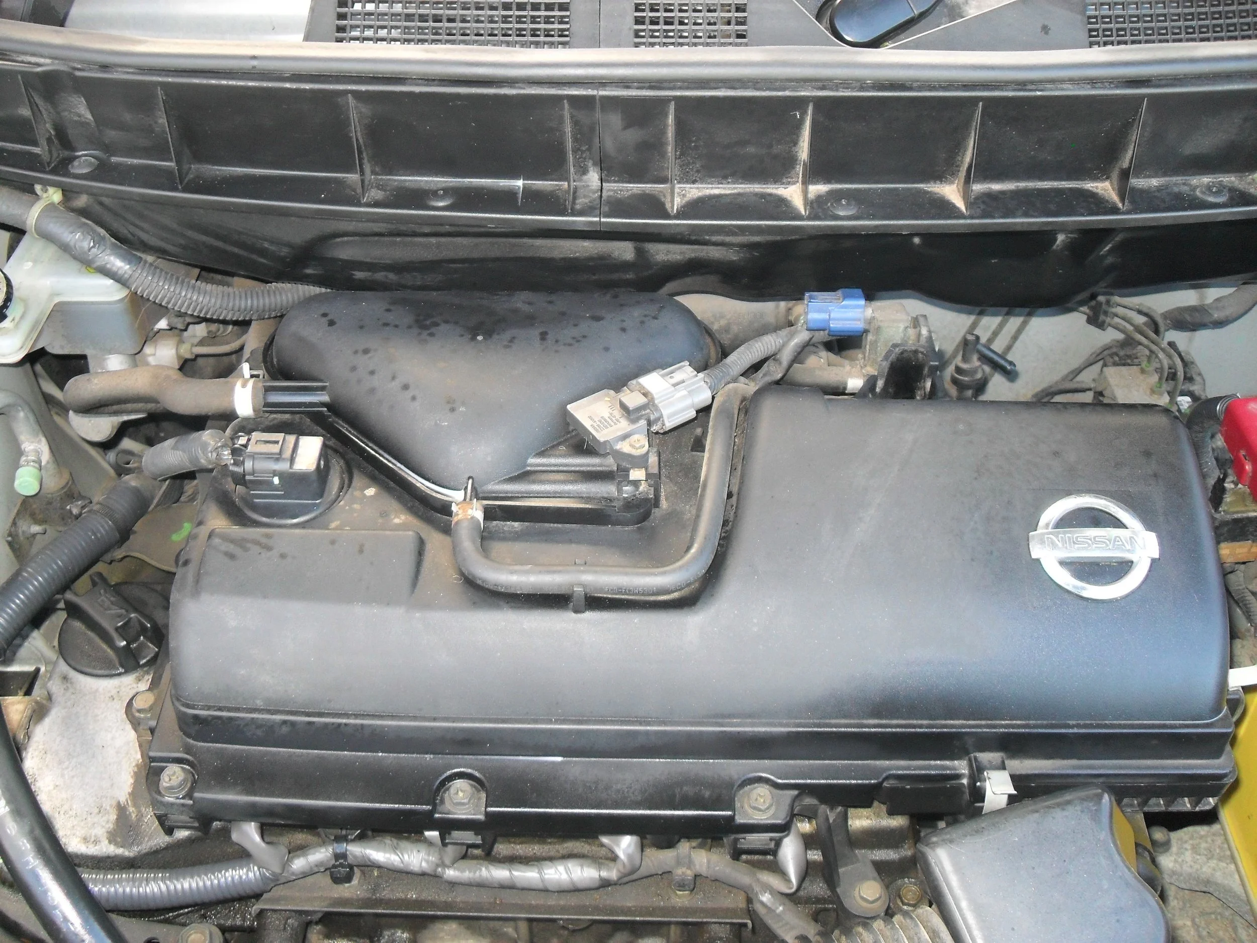 SDC11463.JPG