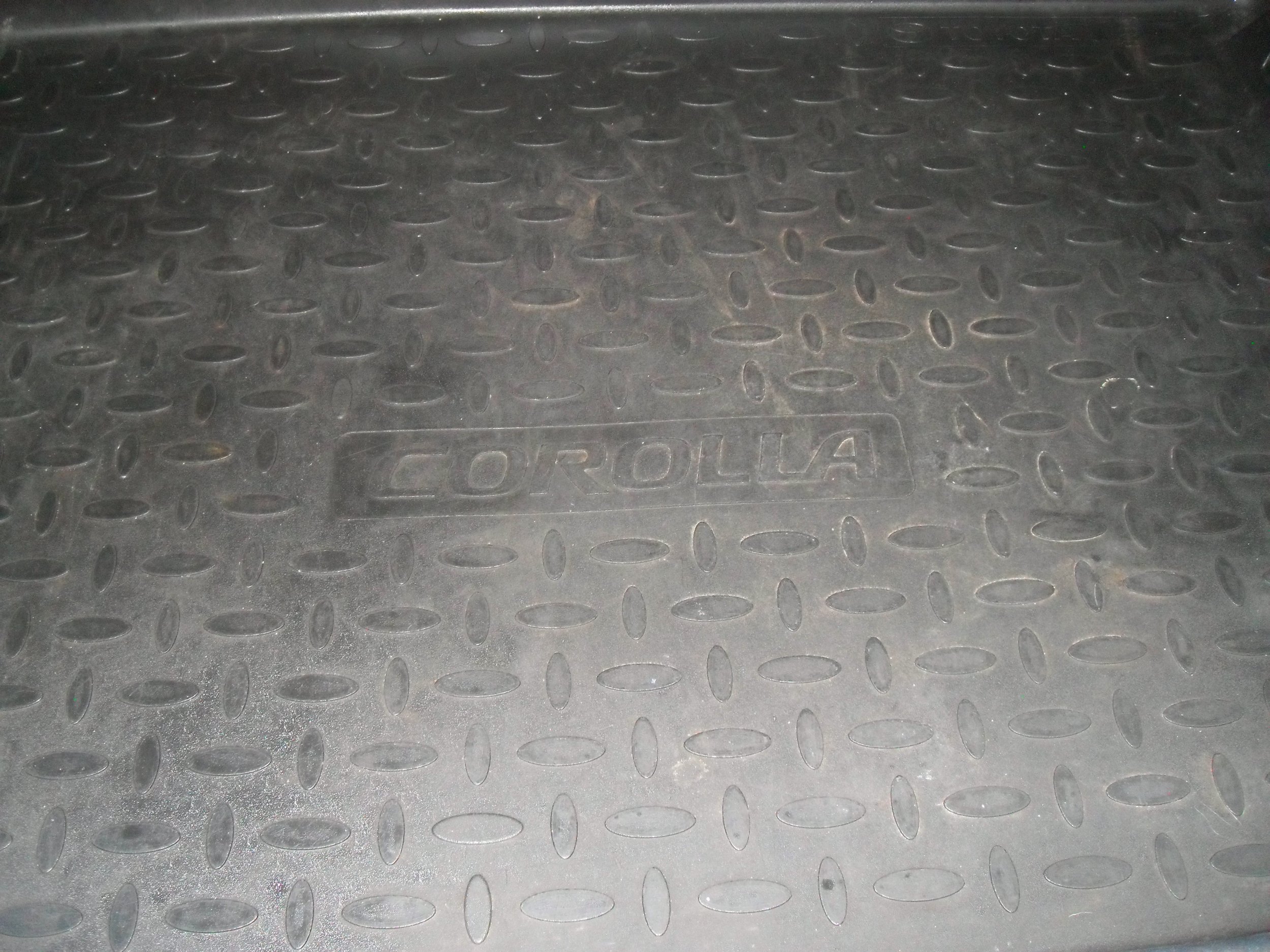 SDC11661.JPG