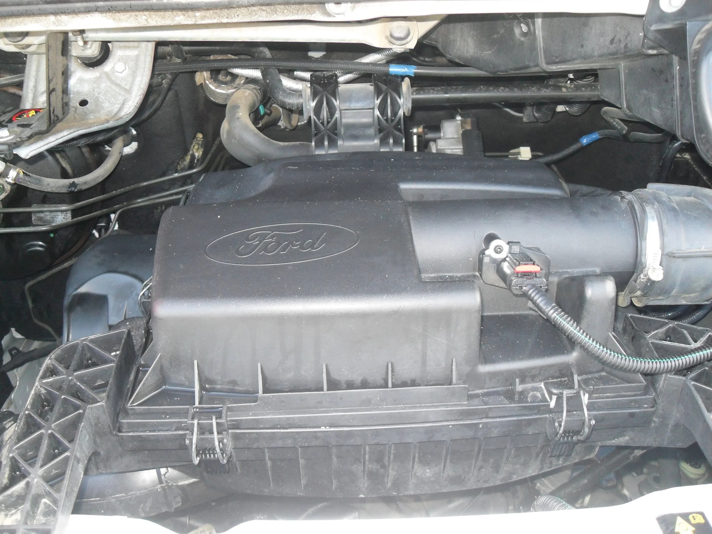 SDC10001.JPG
