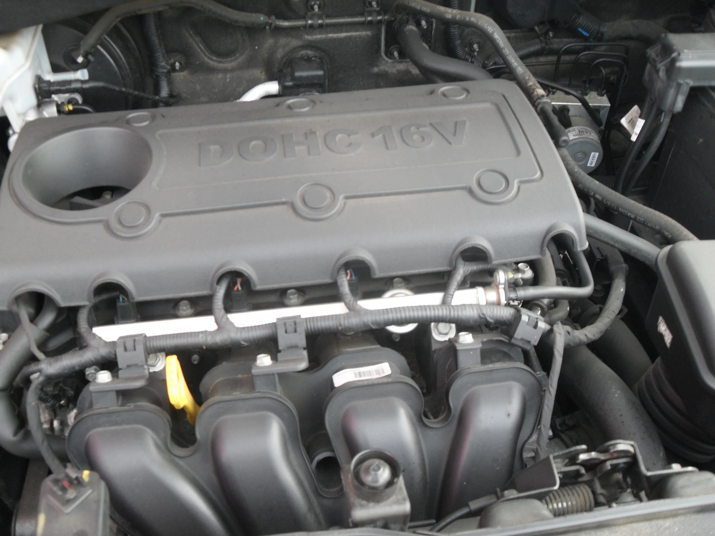 SDC12340.JPG