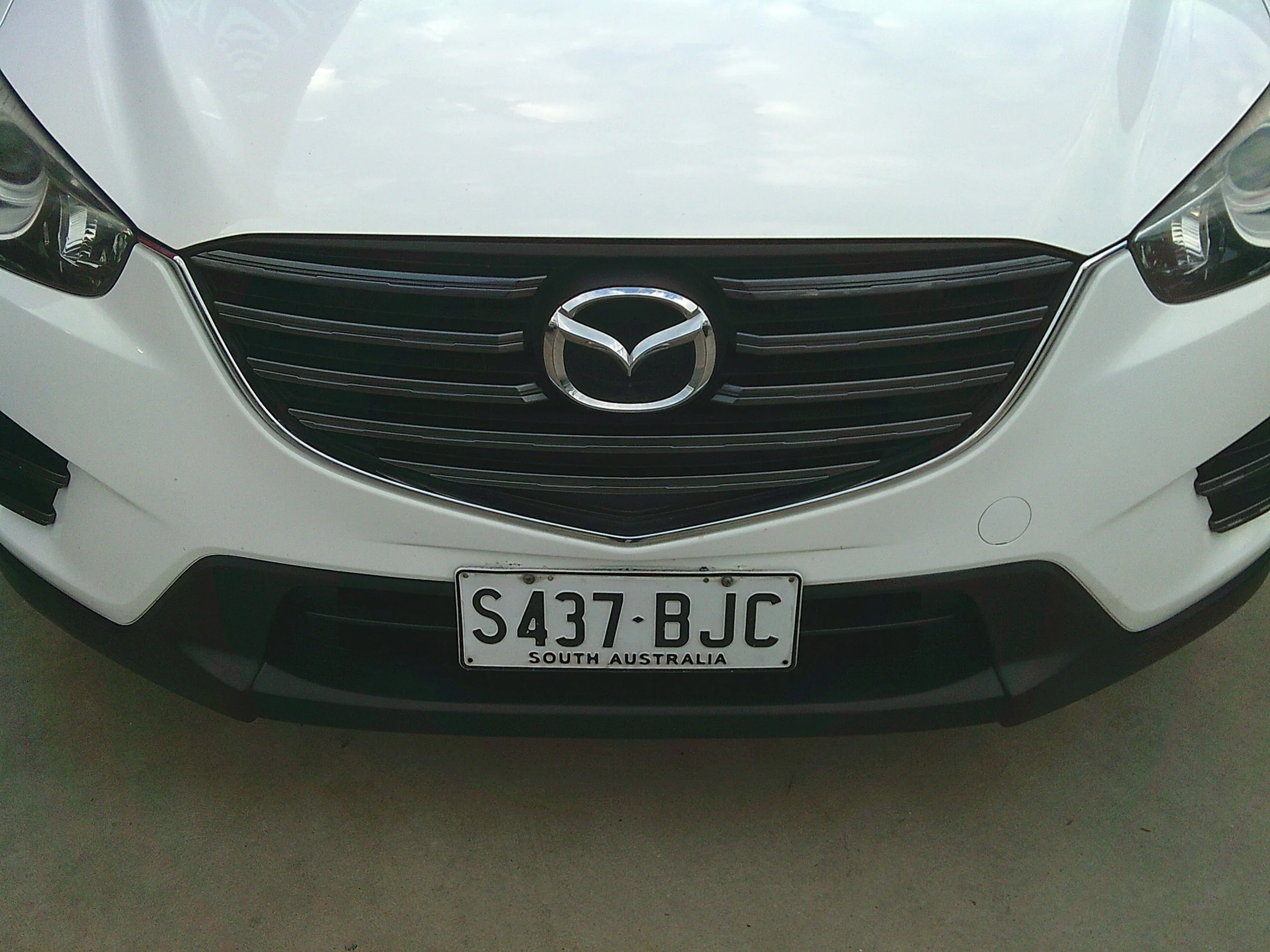 DSCF0530.JPG