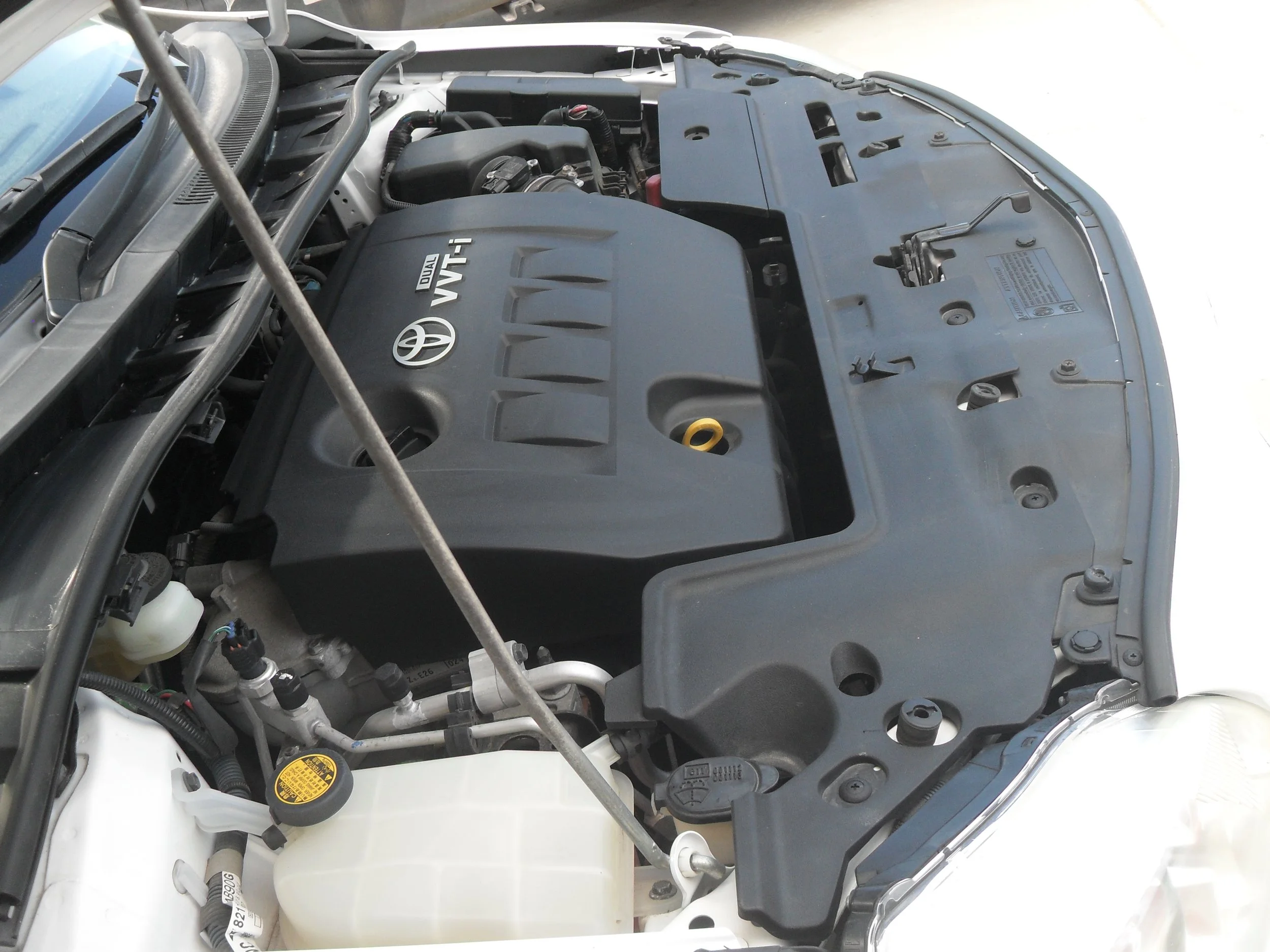 SDC12500.JPG