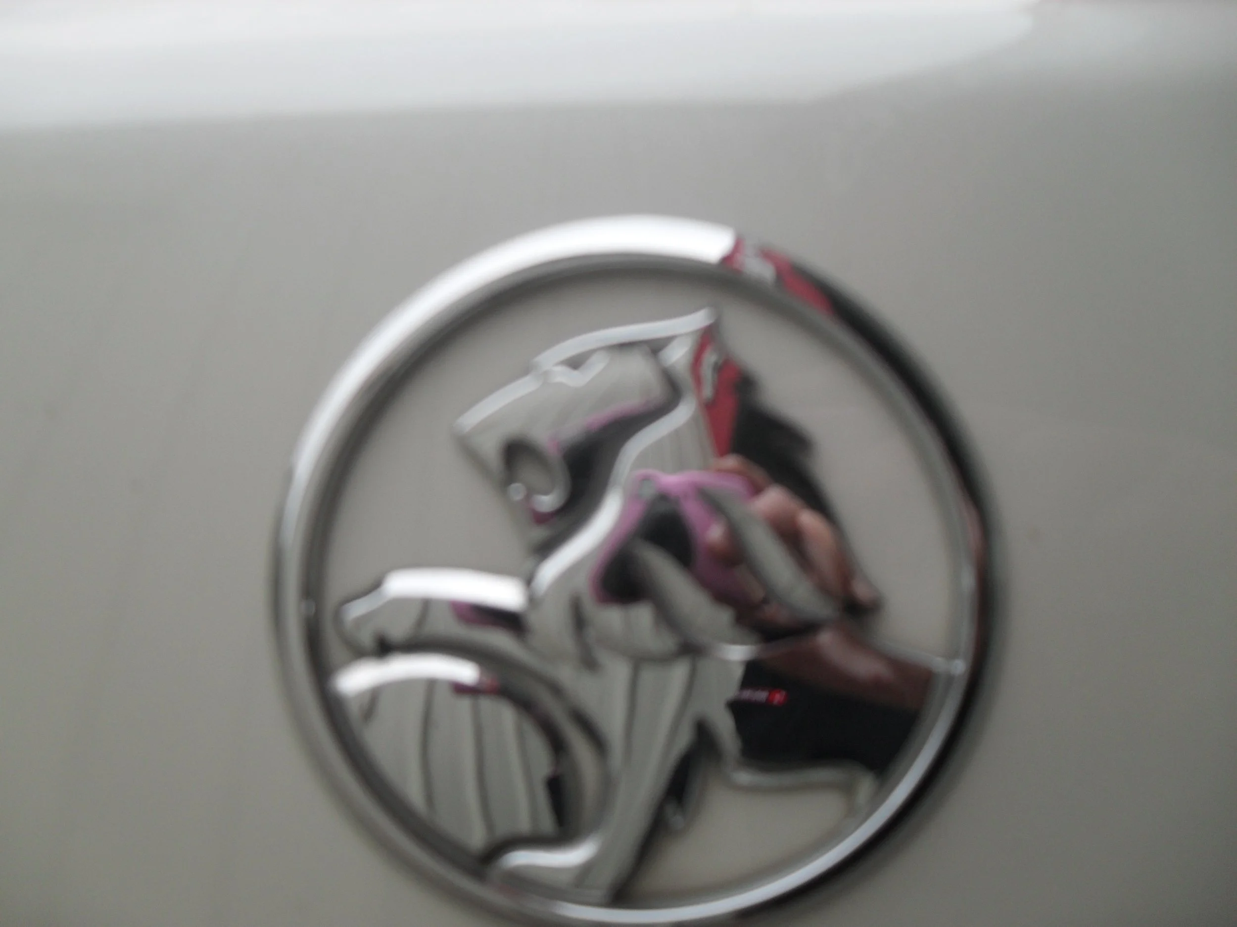 SDC12513.JPG