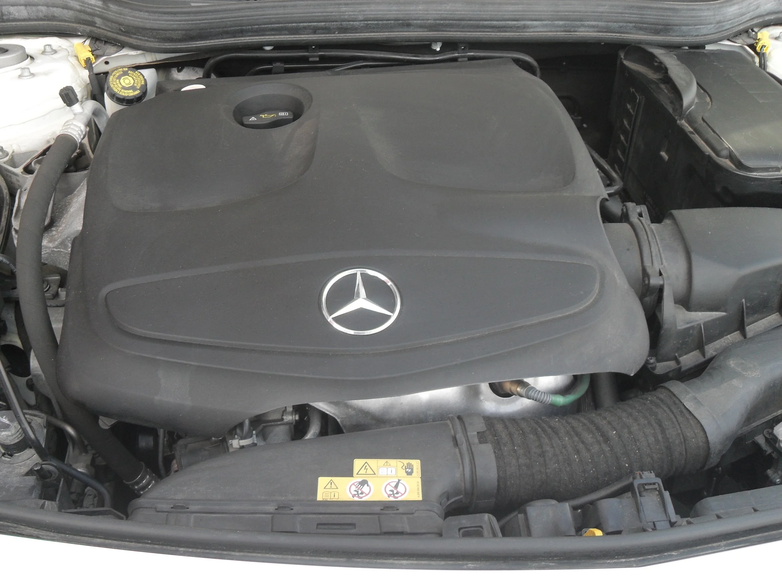 SDC10912.JPG