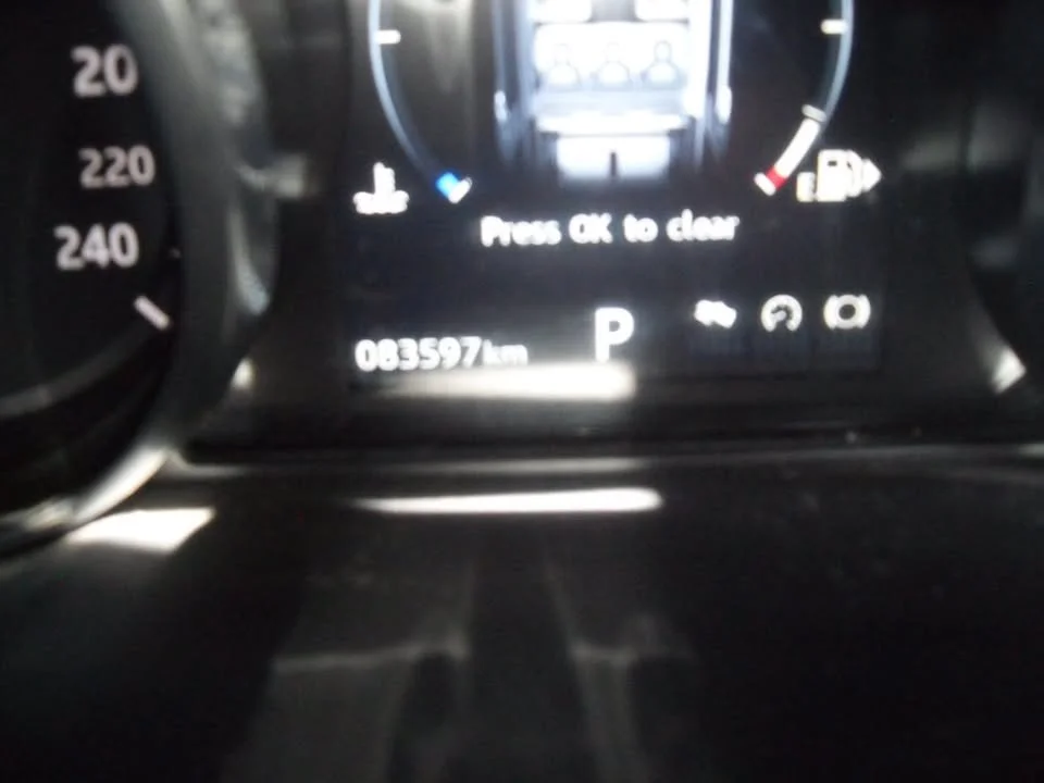 831533591_1649912286850283_4301538917159383061_n.jpg