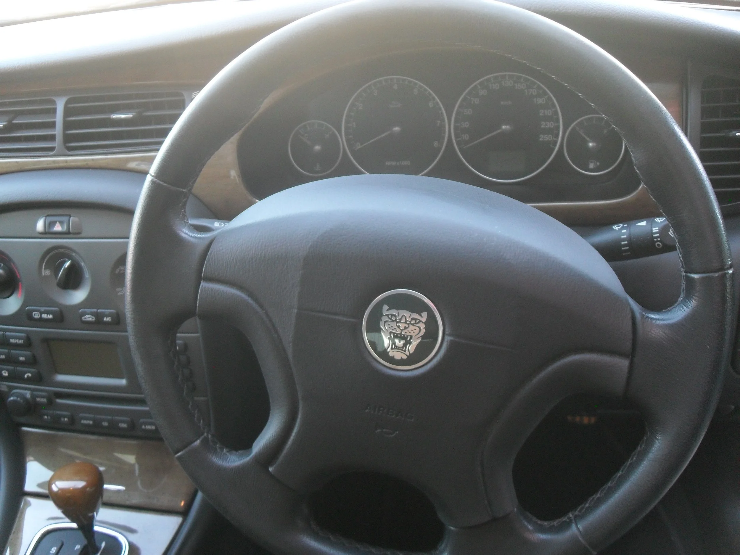 SDC11369.JPG