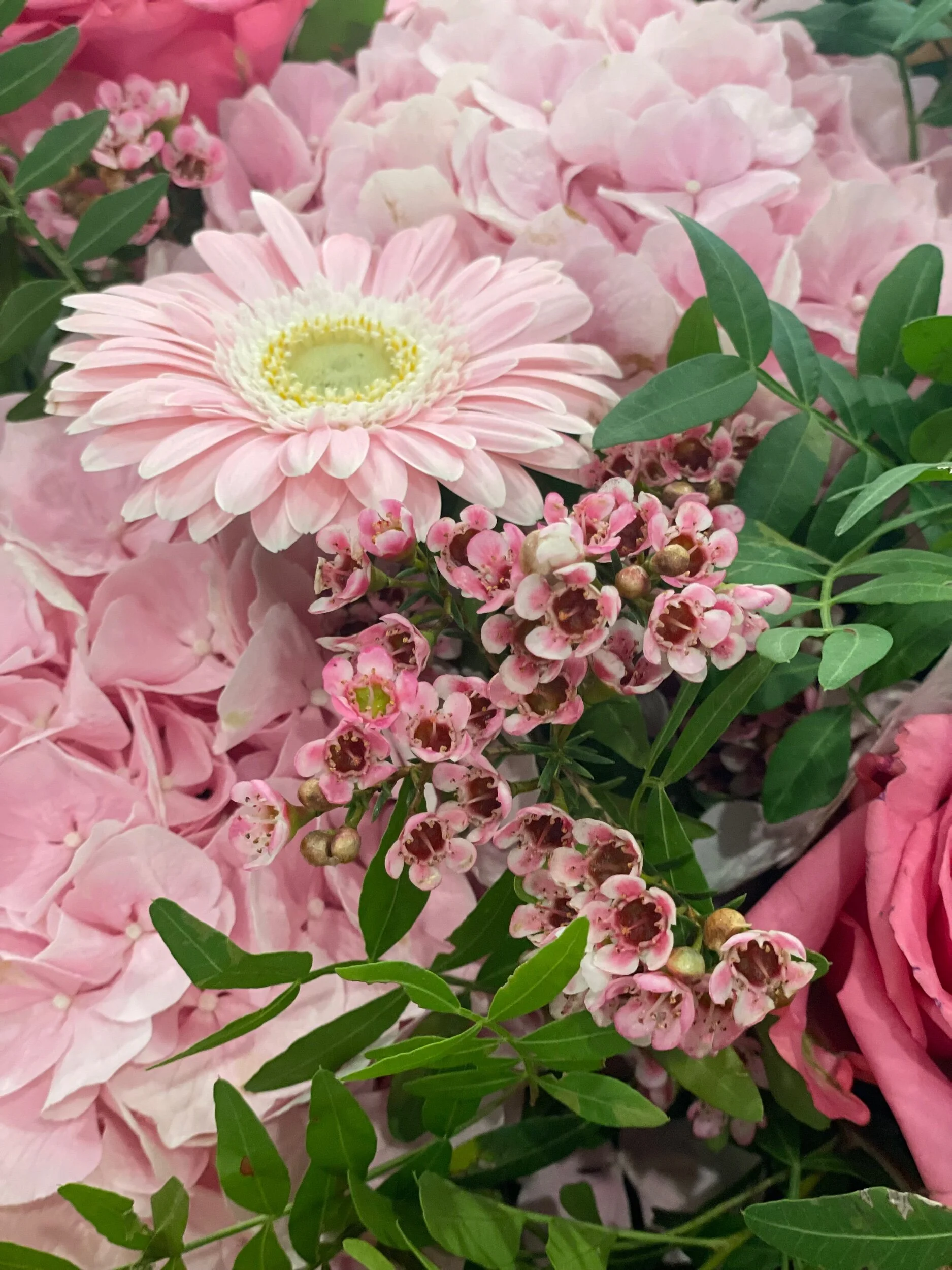 54C72D9B-D444-4A2C-9F4F-639F870CDFF5