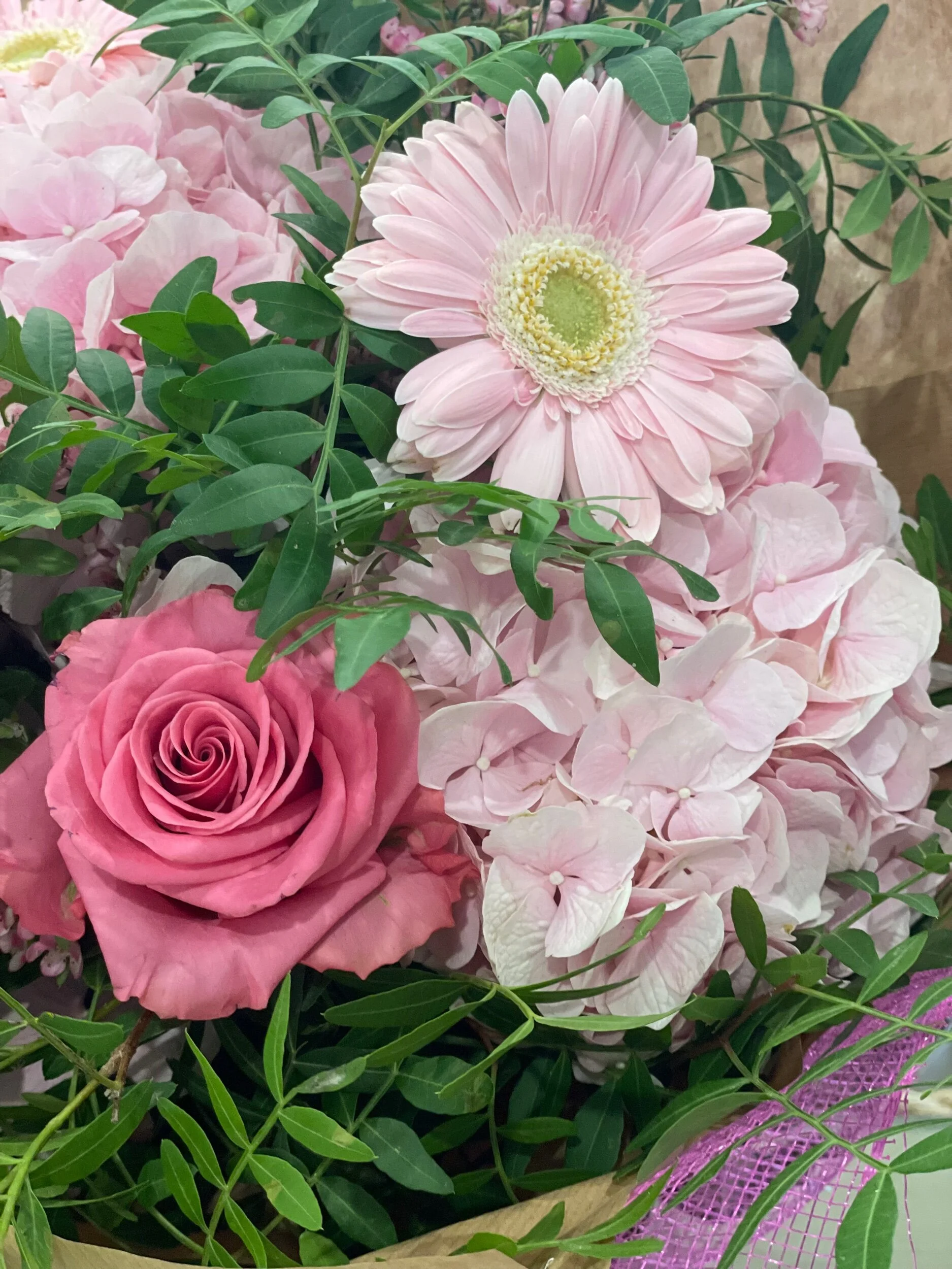 5DD277EA-A8E1-4A92-BE37-B14C88319D70