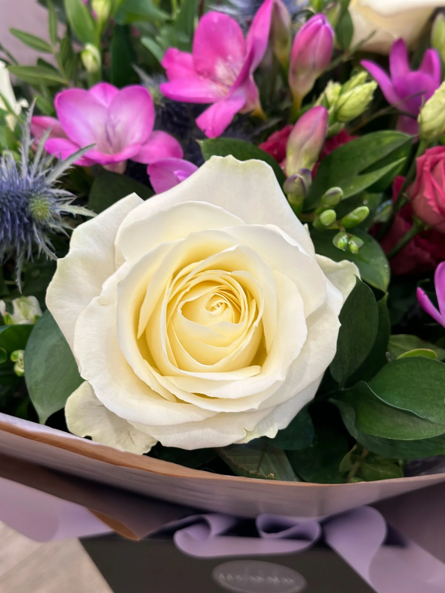 5D89A005-D012-4DFF-BF6A-015B78A88AE5