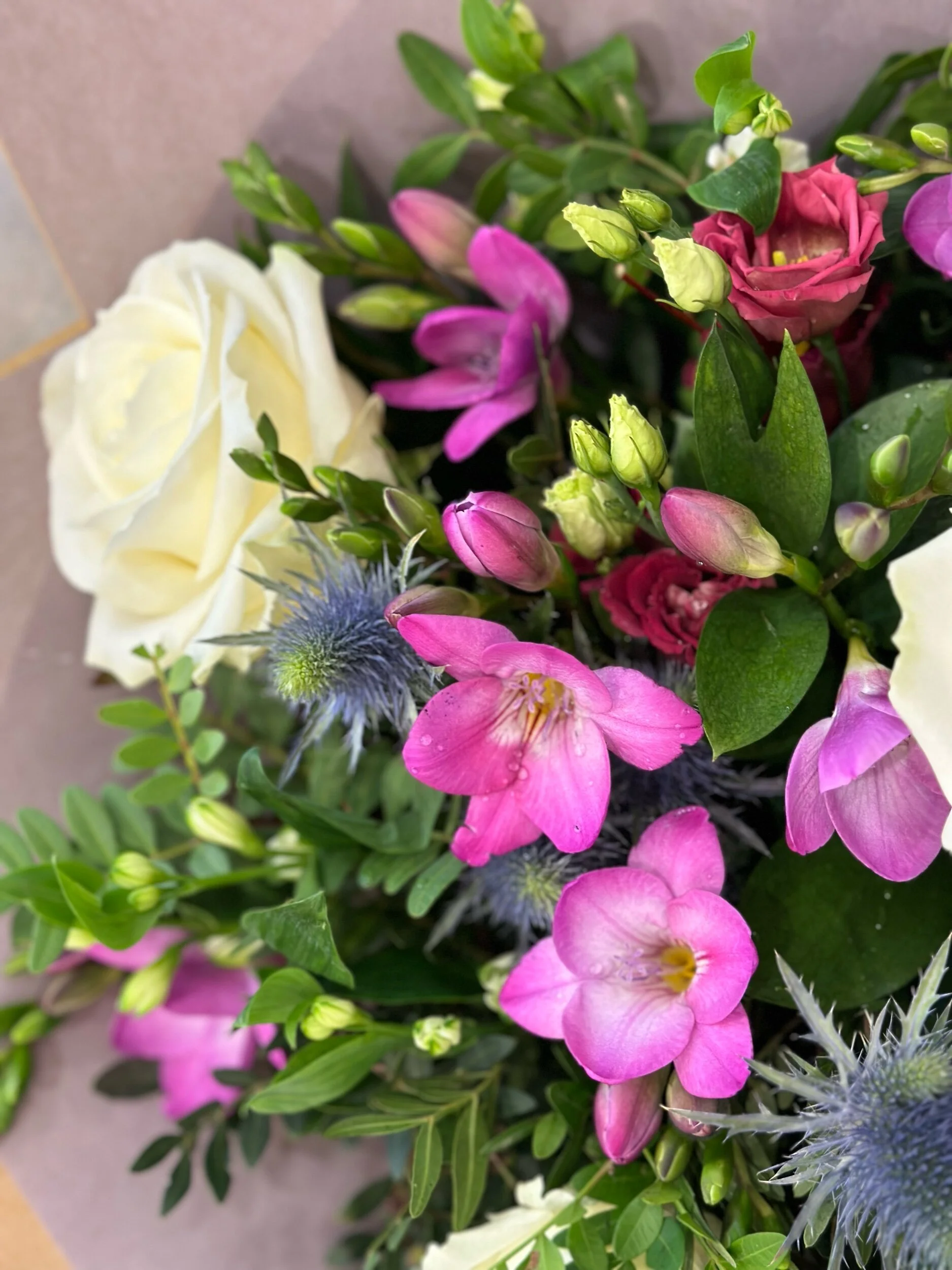 D9B34530-139E-4337-958B-70BB46893EFC