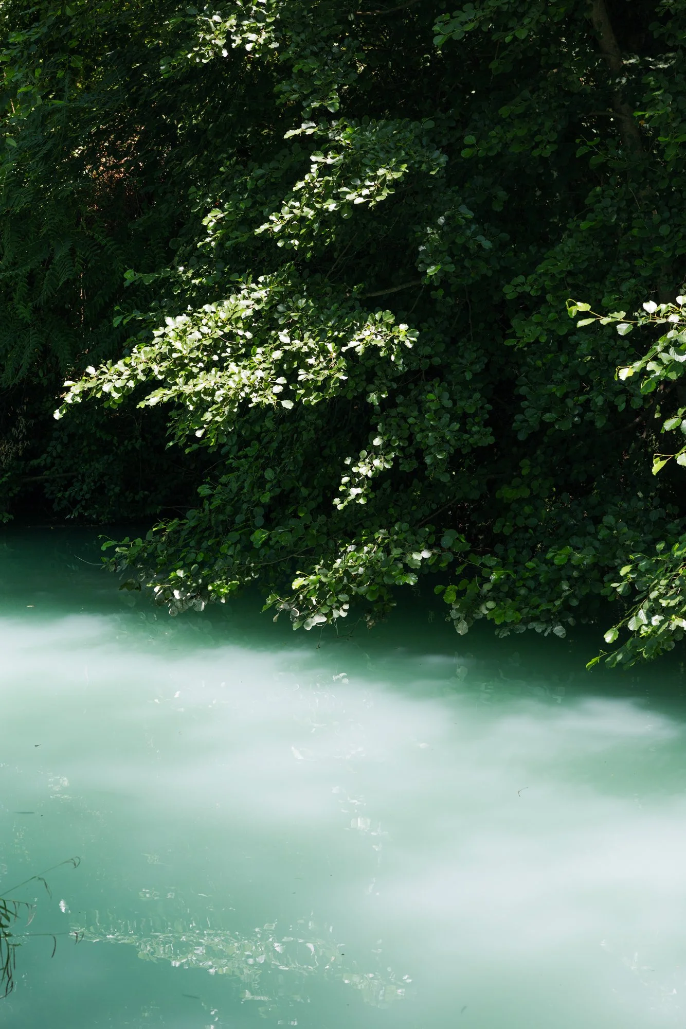 _V9A8596.jpg