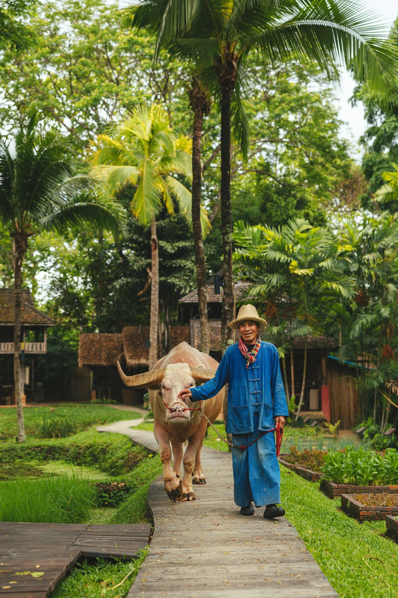 fs_chiangmai_svante_gullichsen_small_36.jpg