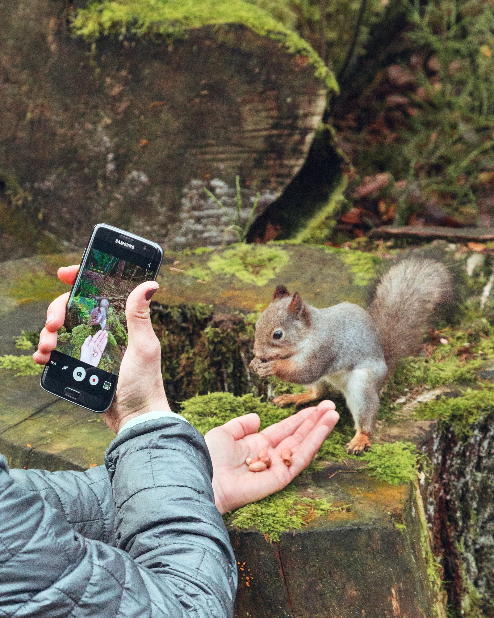 SAMSUNG FINLAND