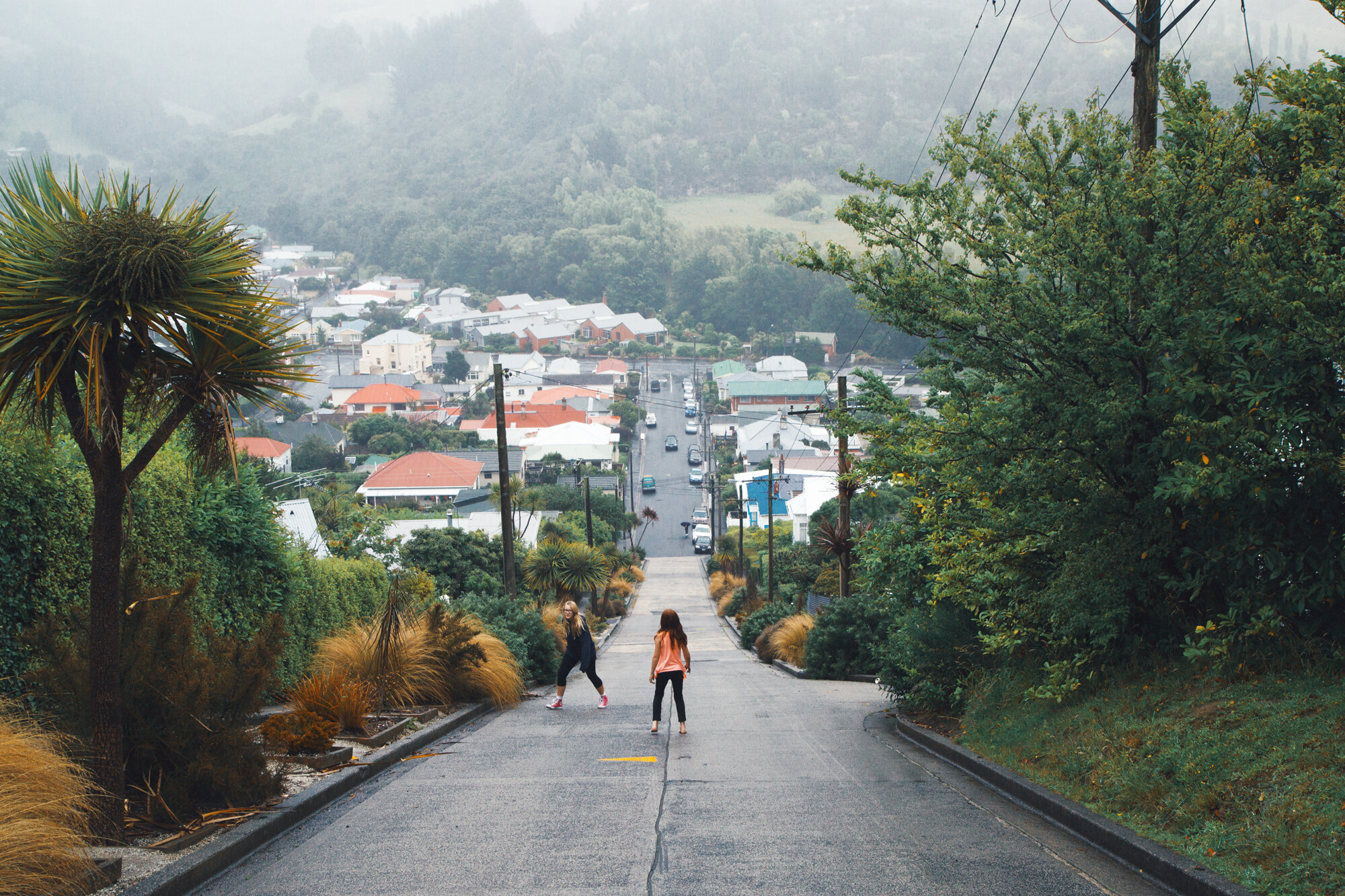 dunedin.jpg