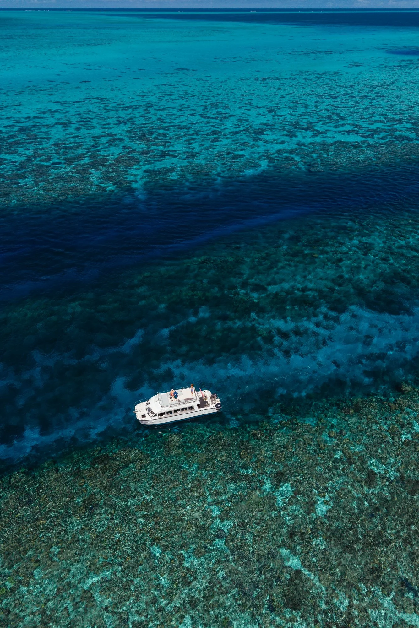 dji_fly_20251128_113610_0263_1764299509908_photo.jpg