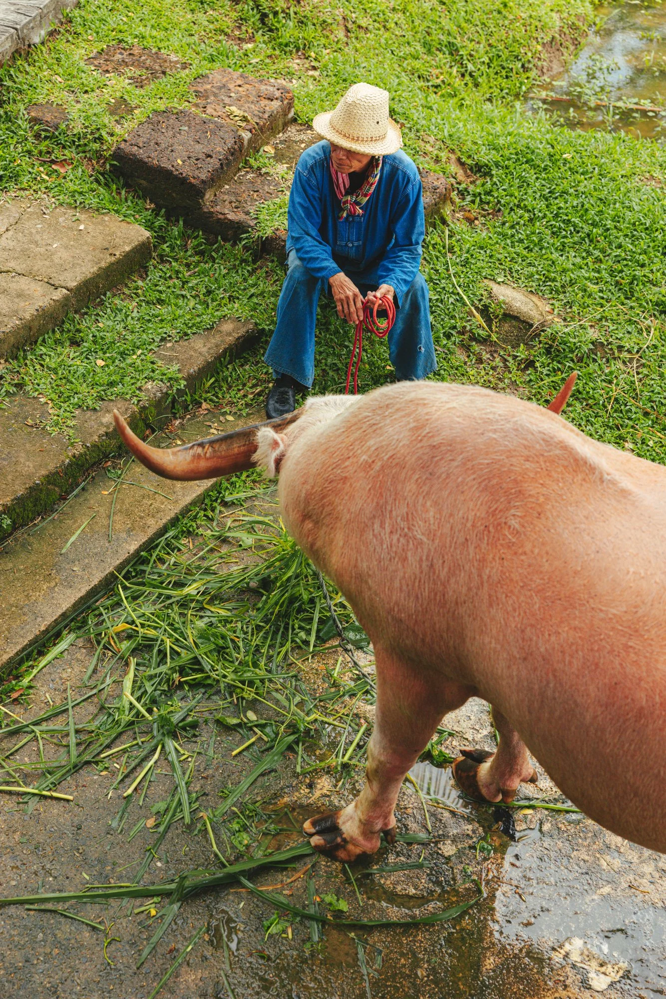 fs_chiangmai_svante_gullichsen_small_35.jpg