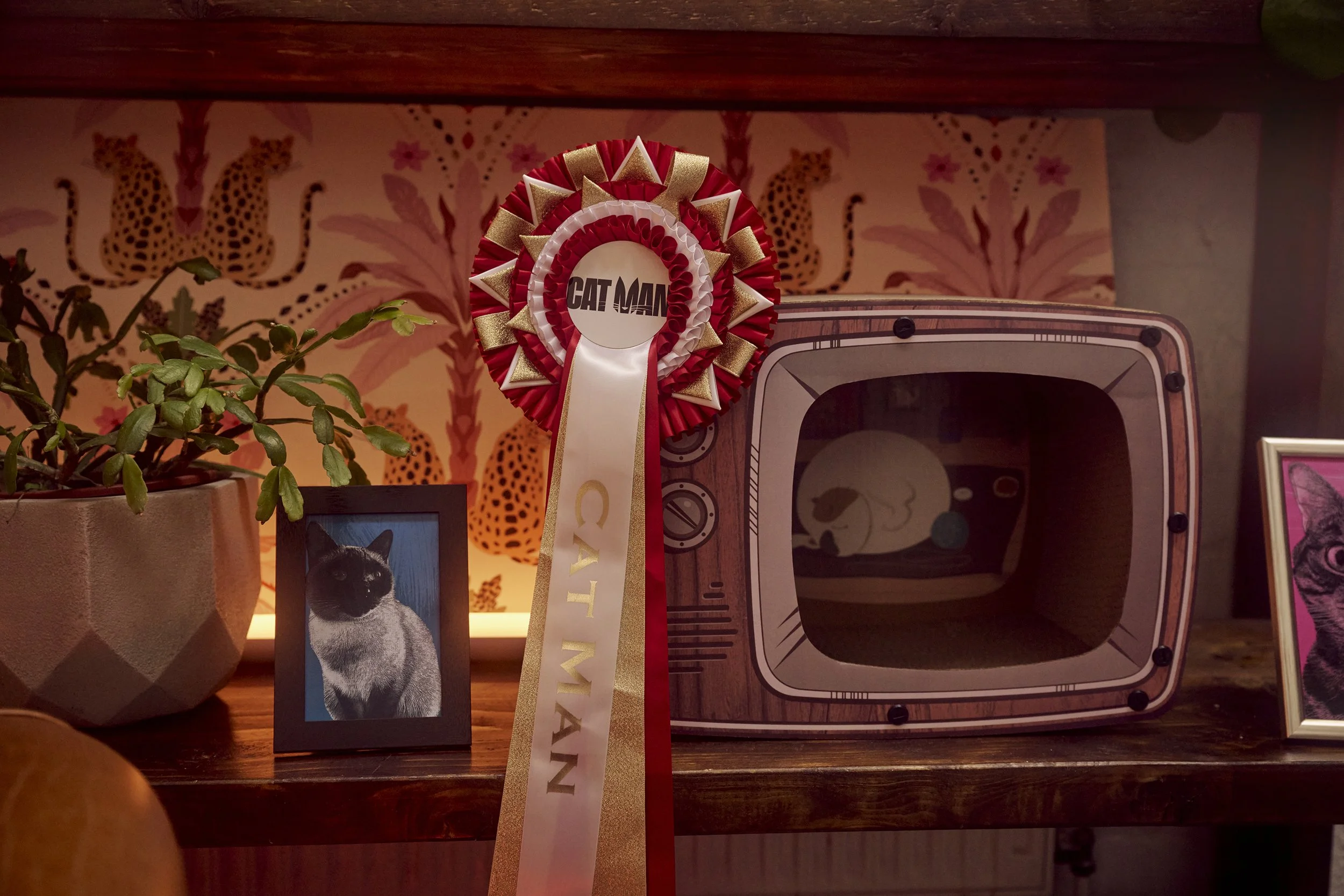 251112_c4_CATS_DAVID_1492 copy 2.jpg