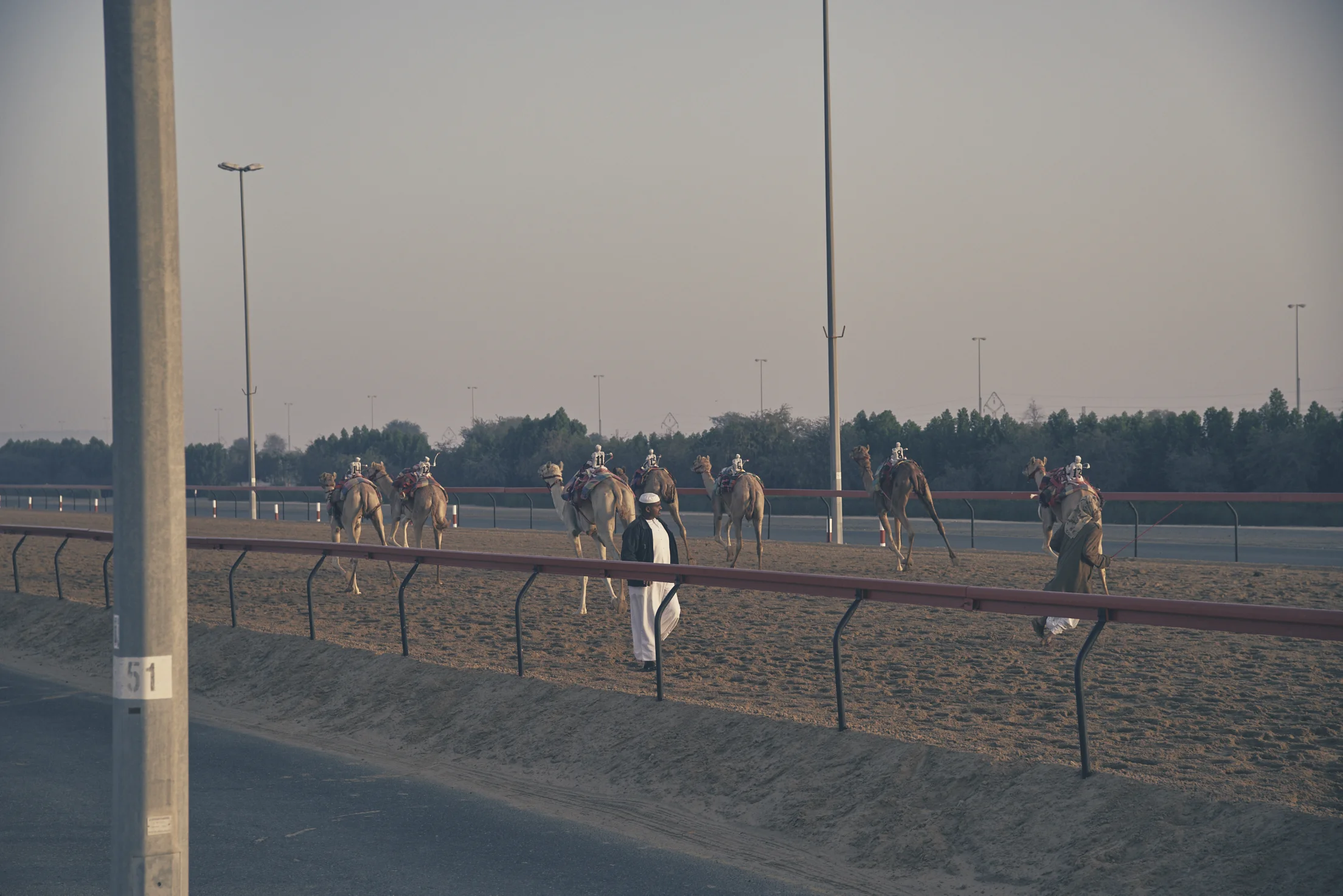 190396_camel_racing_0817.jpg