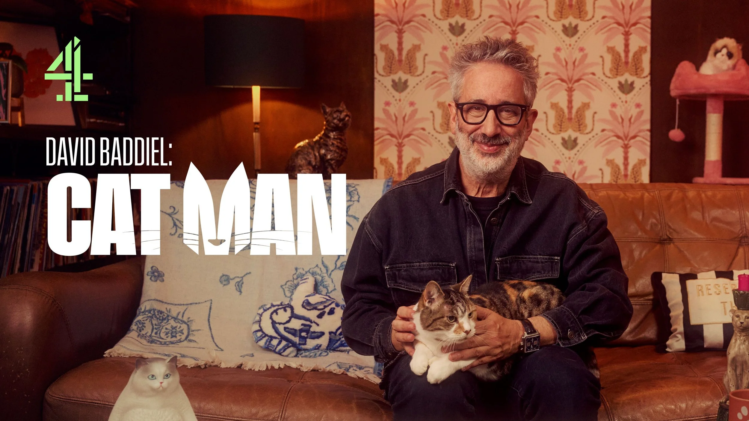AI SEARCH_David_Baddiel_Cat_Man_Apple_TV_3840x2160.jpg