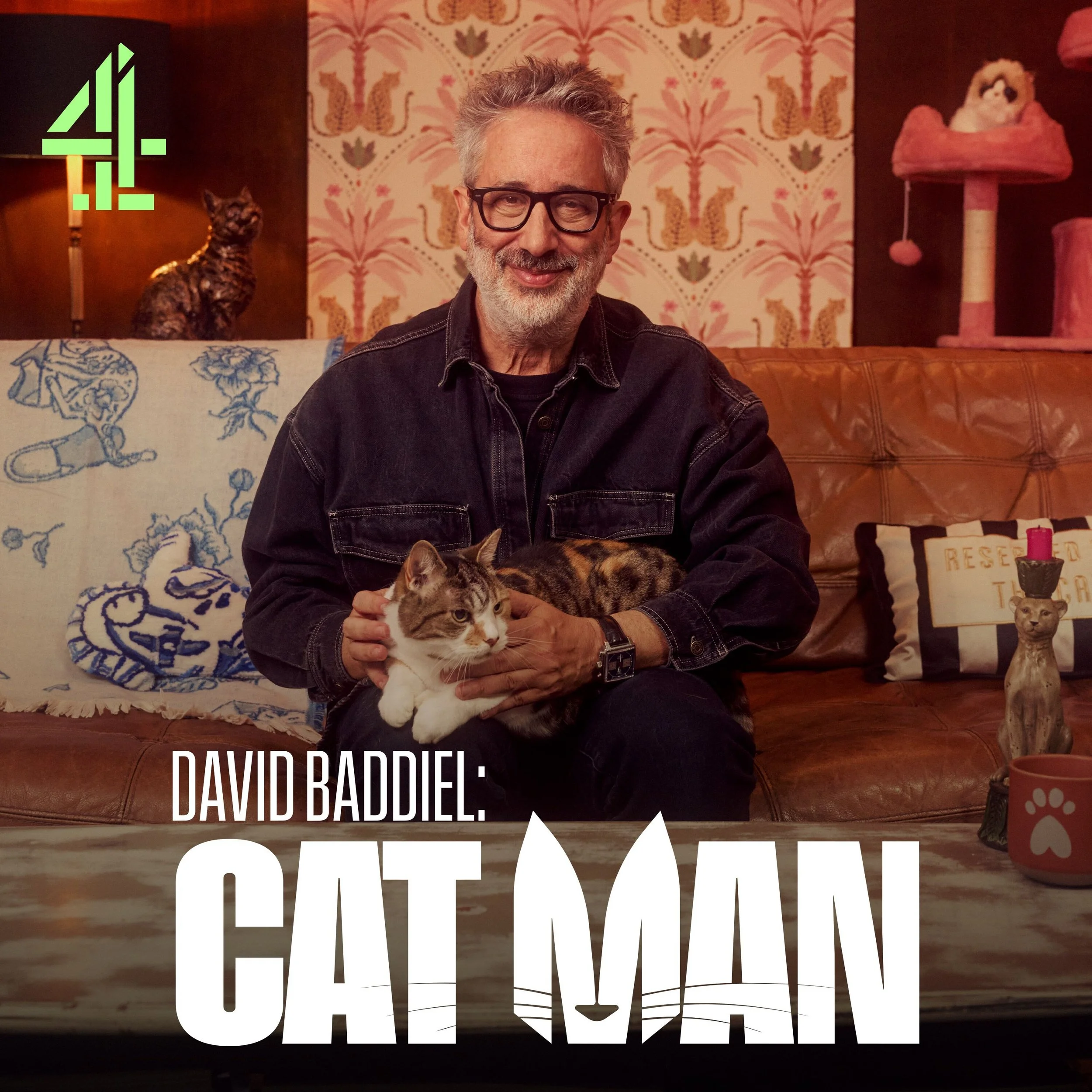 72dpi_David_Baddiel_Cat_Man_Apple_TV_3000x3000.jpg