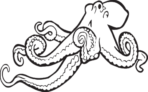 octopus-312381_1280.png