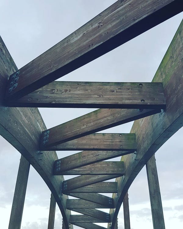 bridge.jpeg