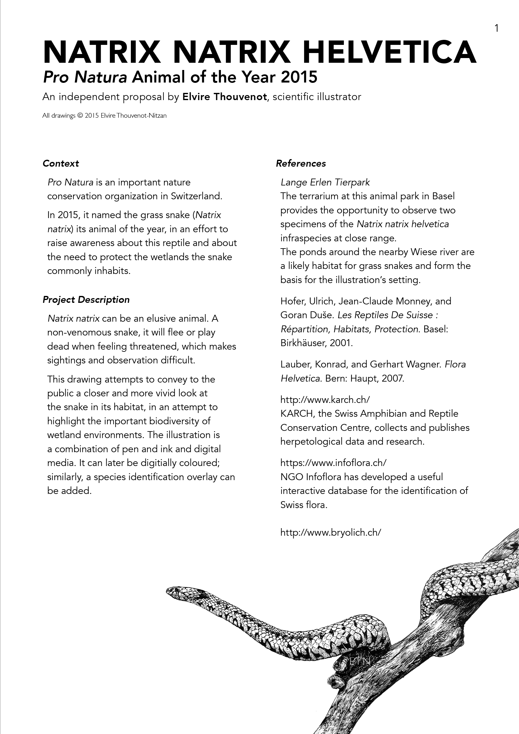 Elvire Thouveno Natrix Natrix Research.png