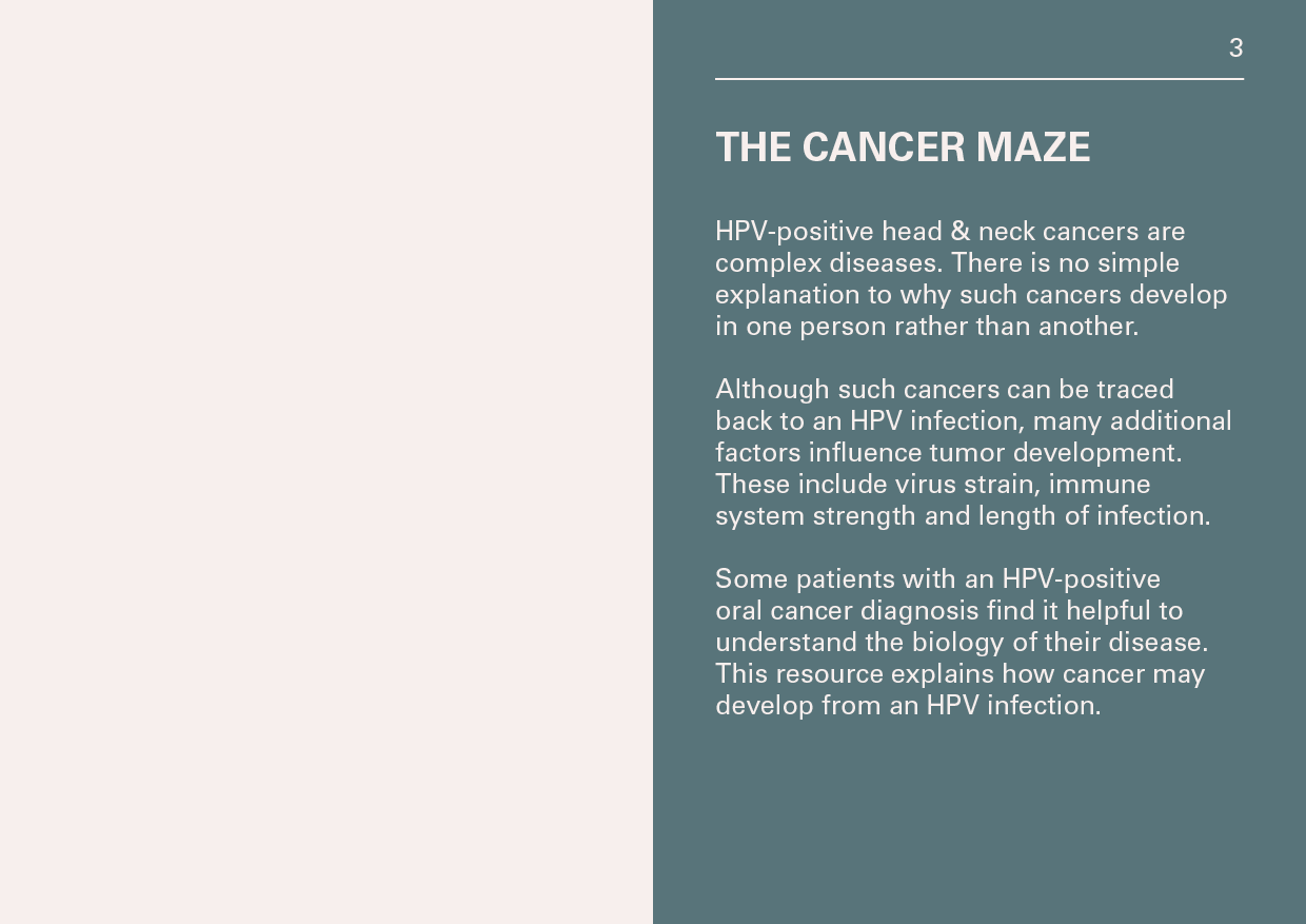 Elvire Thouvenot Booklet HPV2.png
