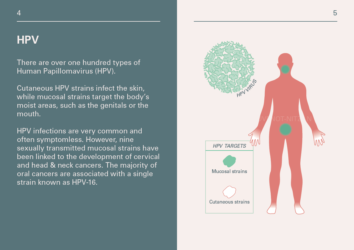 Elvire Thouvenot Booklet HPV3.png