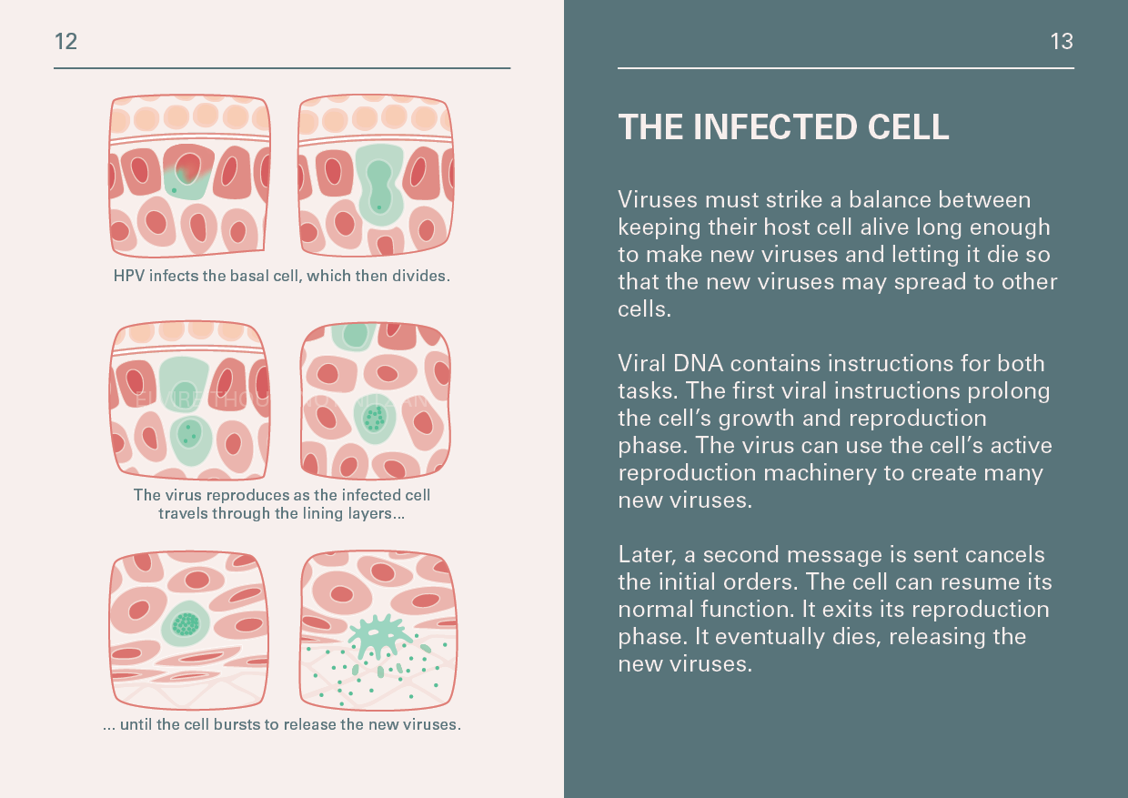 Elvire Thouvenot Booklet HPV7.png