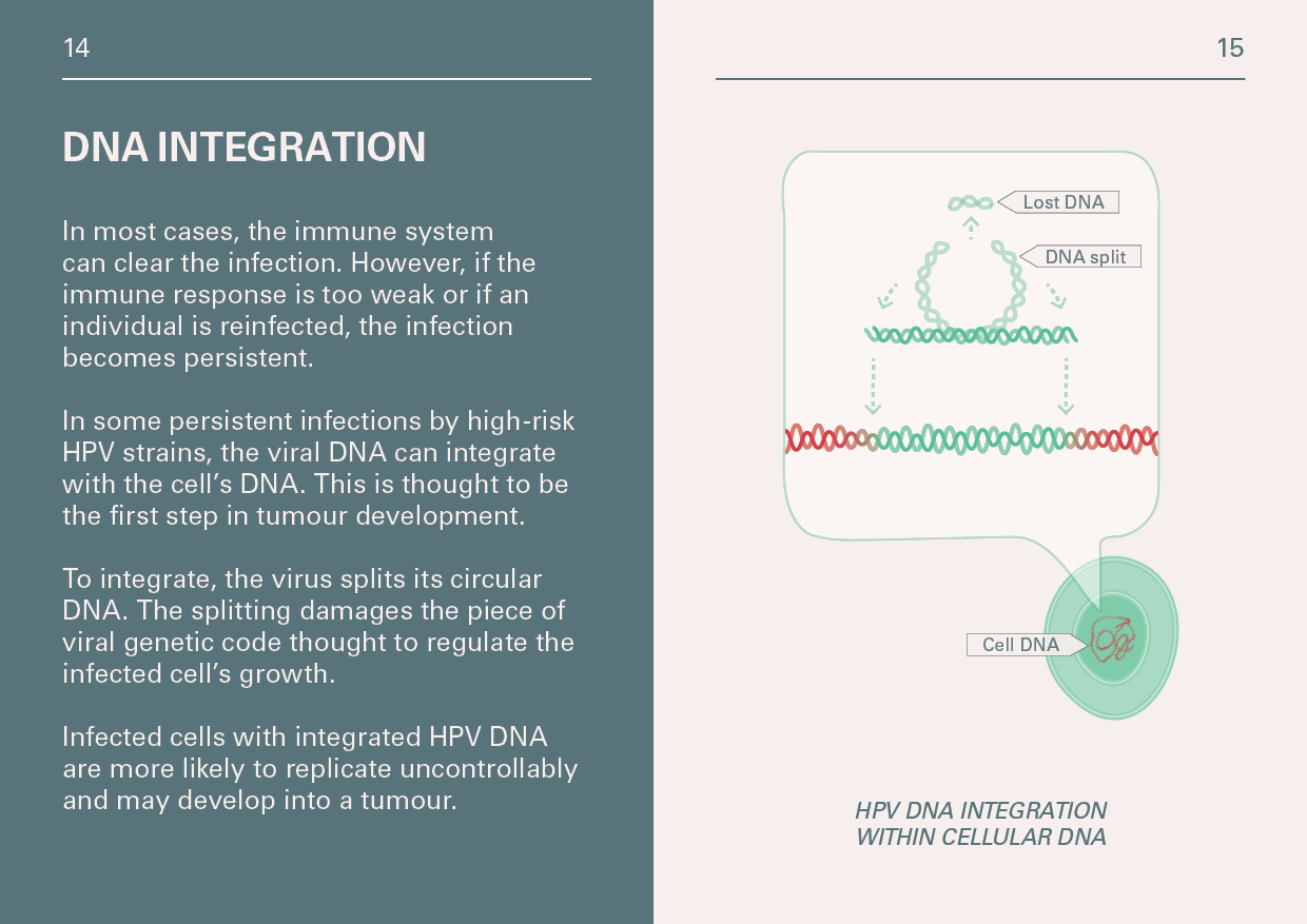 Elvire Thouvenot Booklet HPV8.png