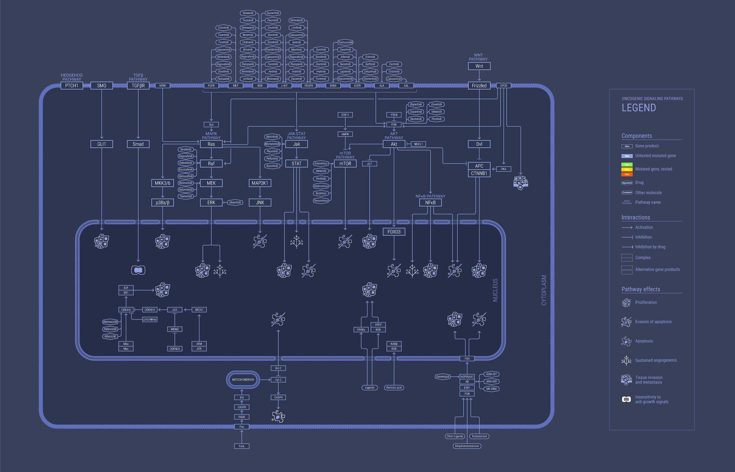 Simplified base map.