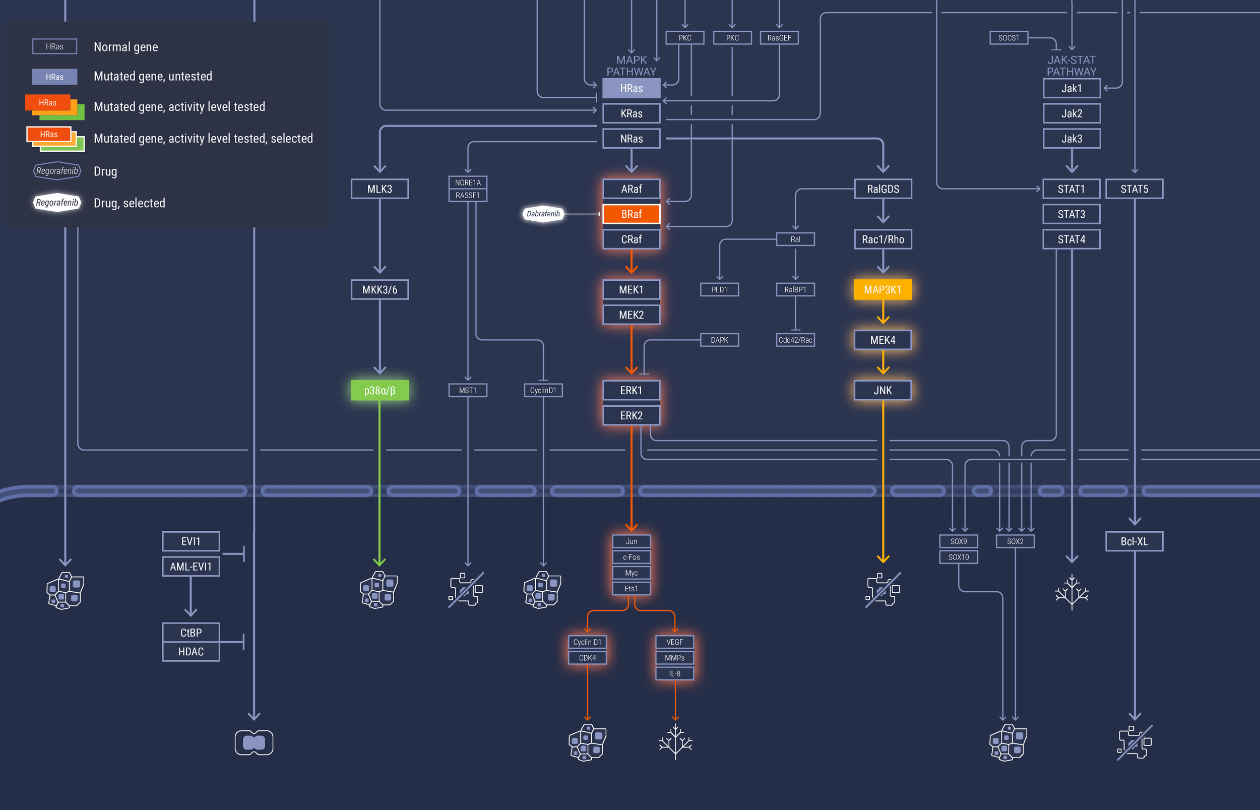 Sample detail of a patient's personalized map
