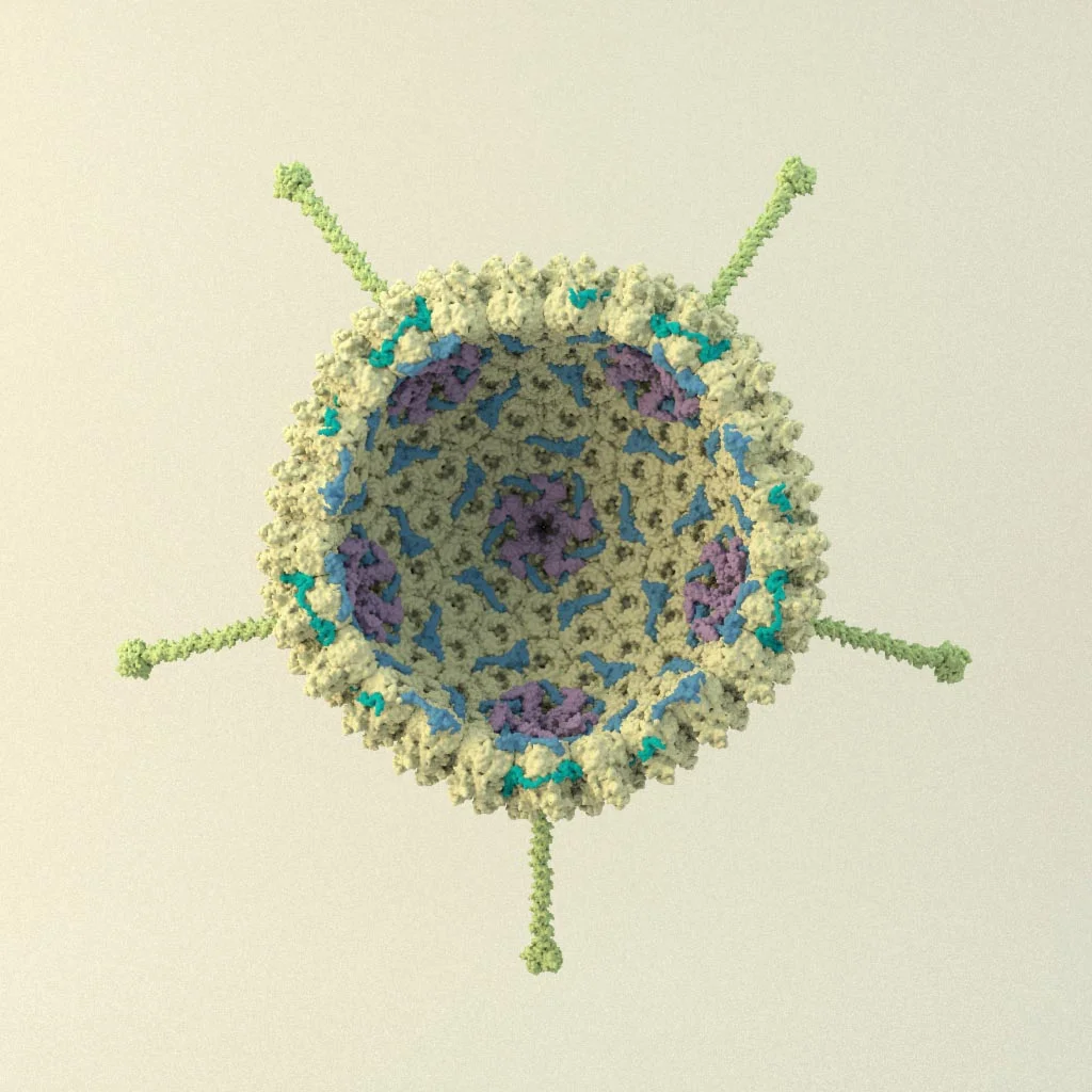 Virus Coming soon