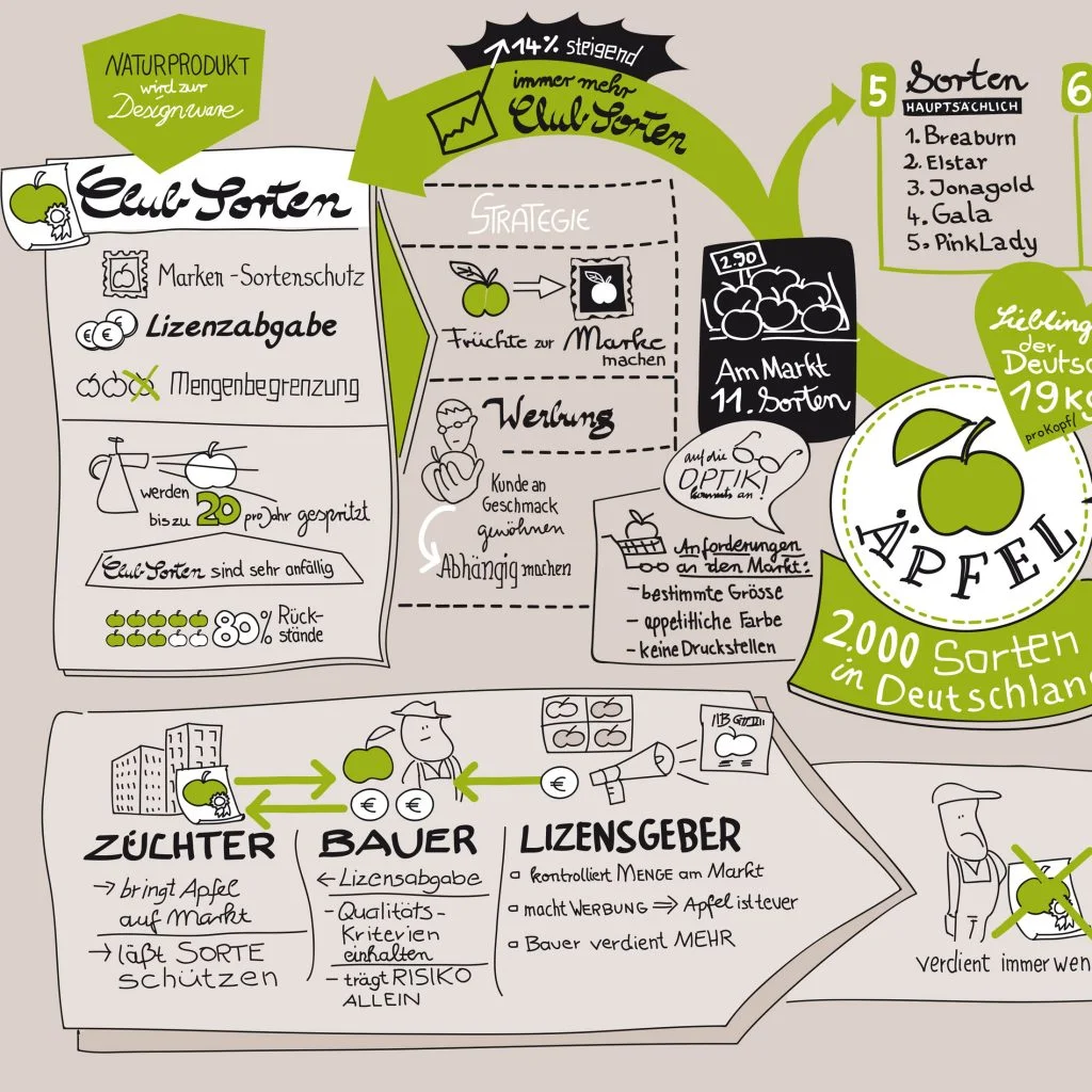 Illustrierte Meetingergebnisse statt Word-Protokoll - Ruth Wengenroth zeichnet das wesentliche live übersichtlich und strukturiert mit. Quelle: www.bildimkopf.de