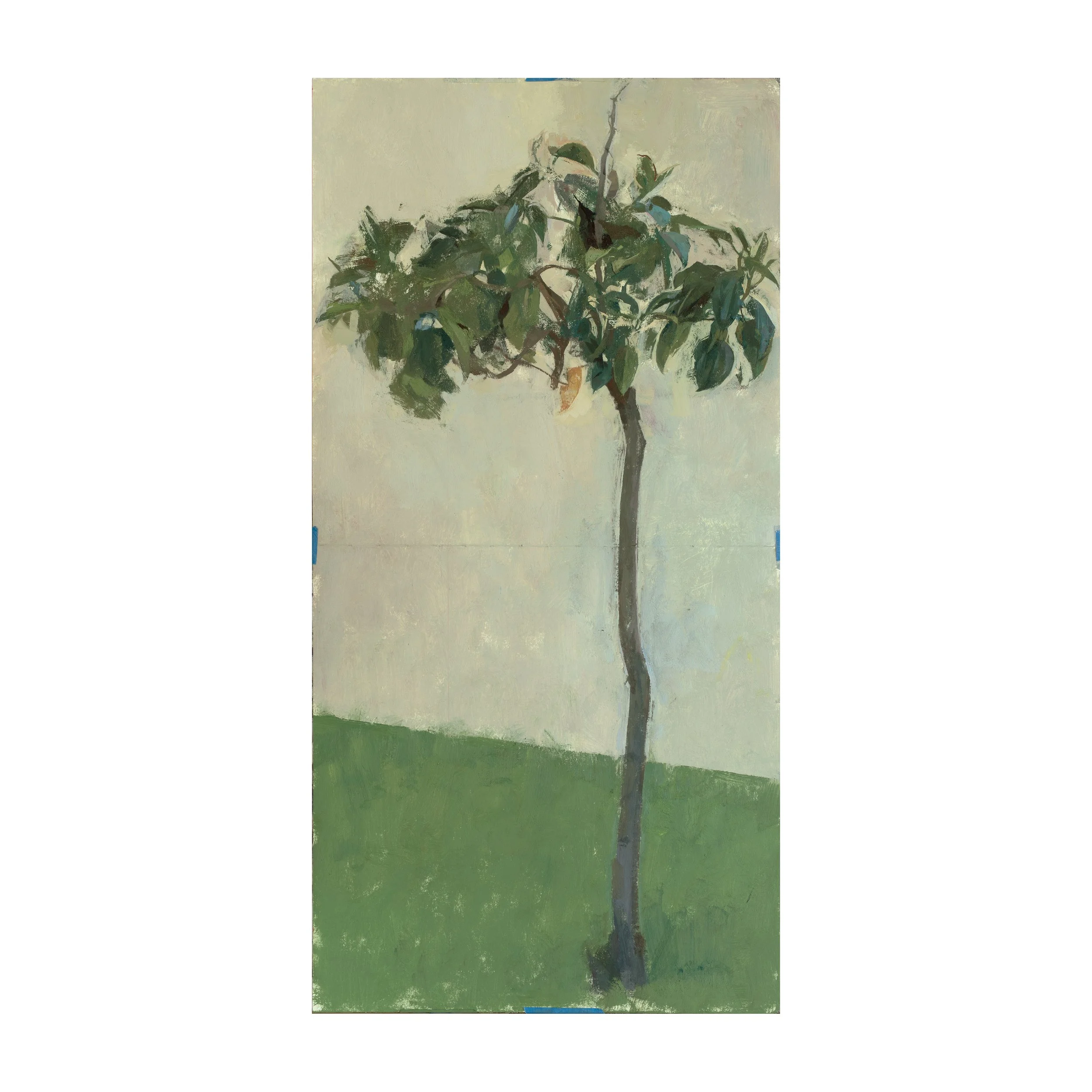 Samu Tree_Web.jpg