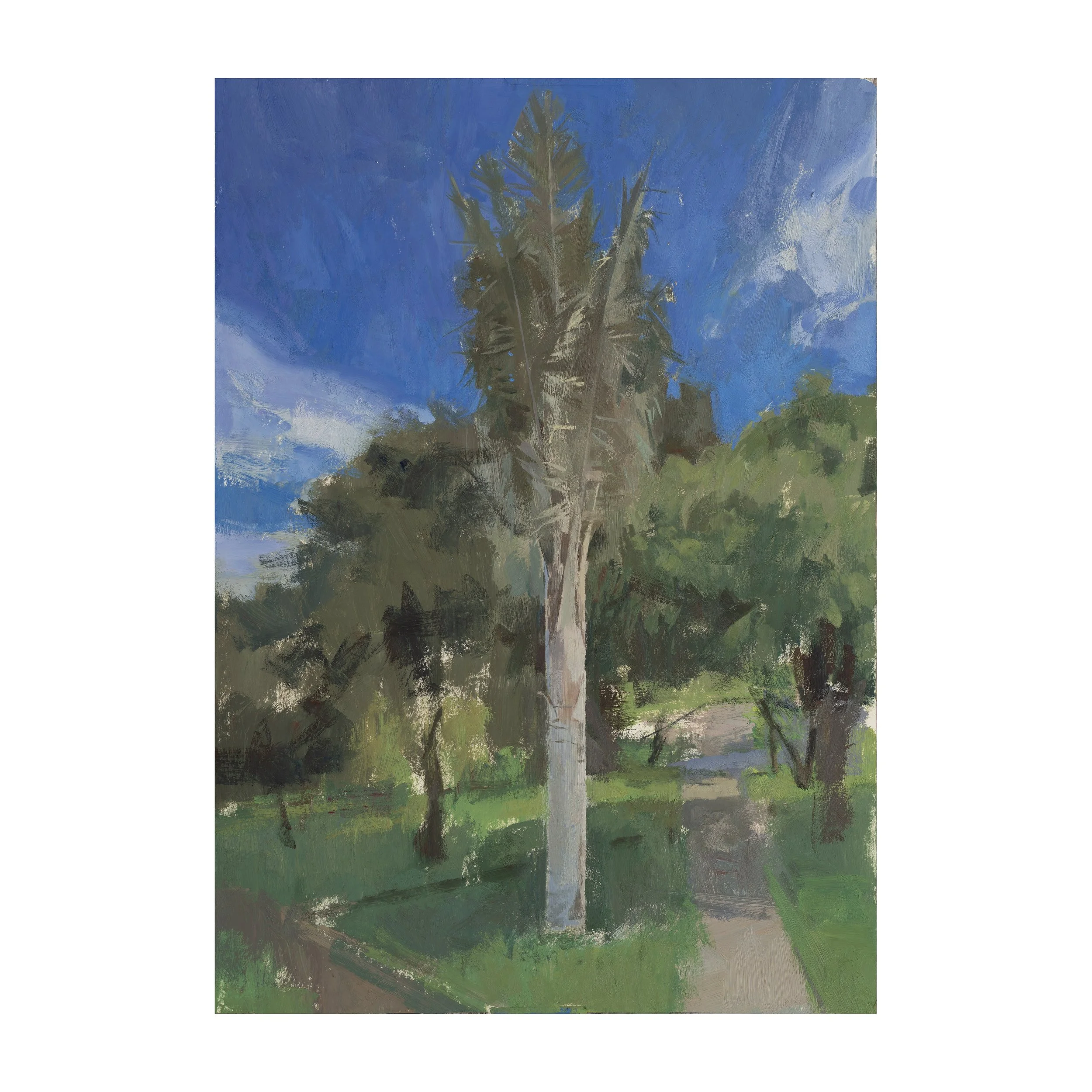 Wax Palm Tree Final_Web.jpg