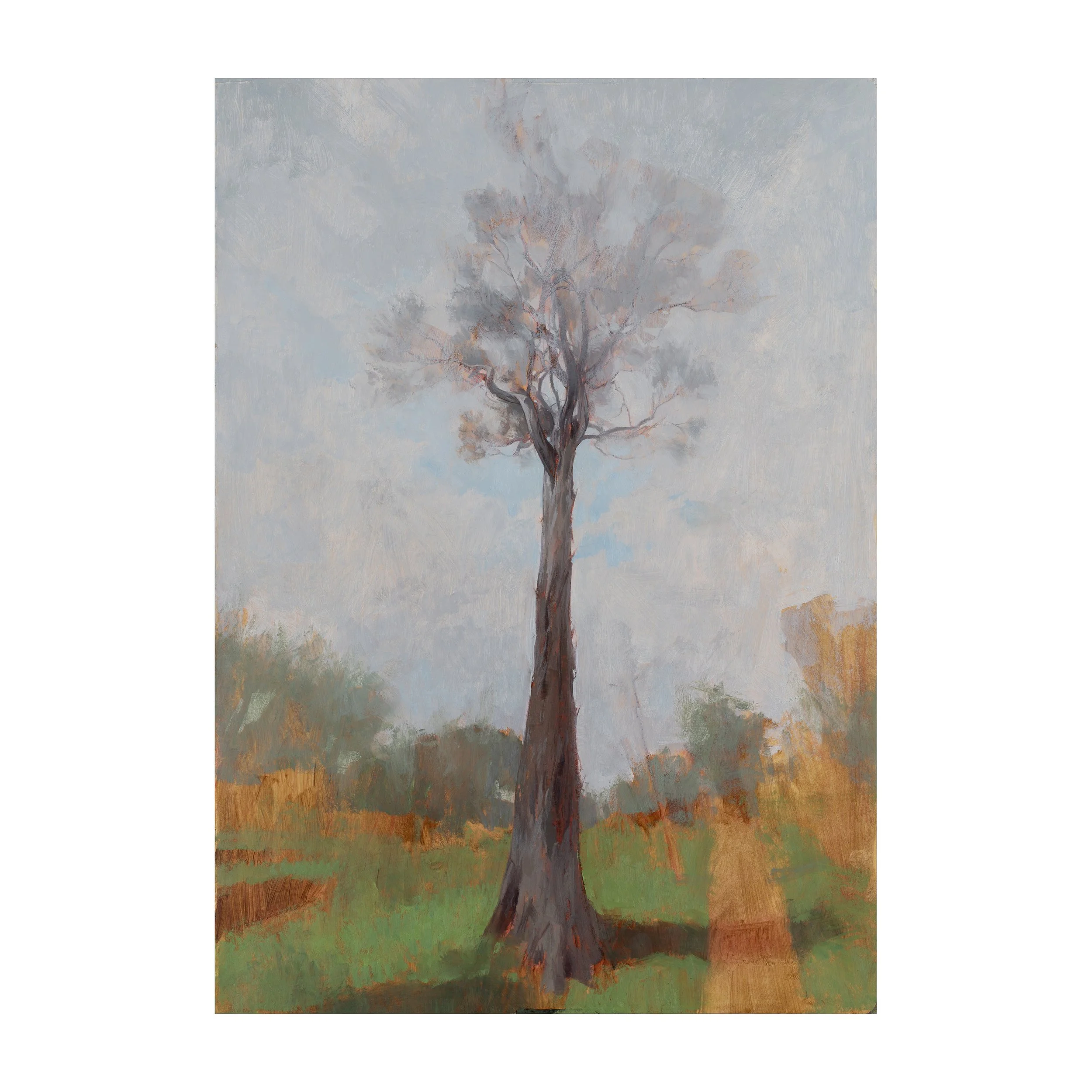 Little Big Tree Final_IG_Website.jpg