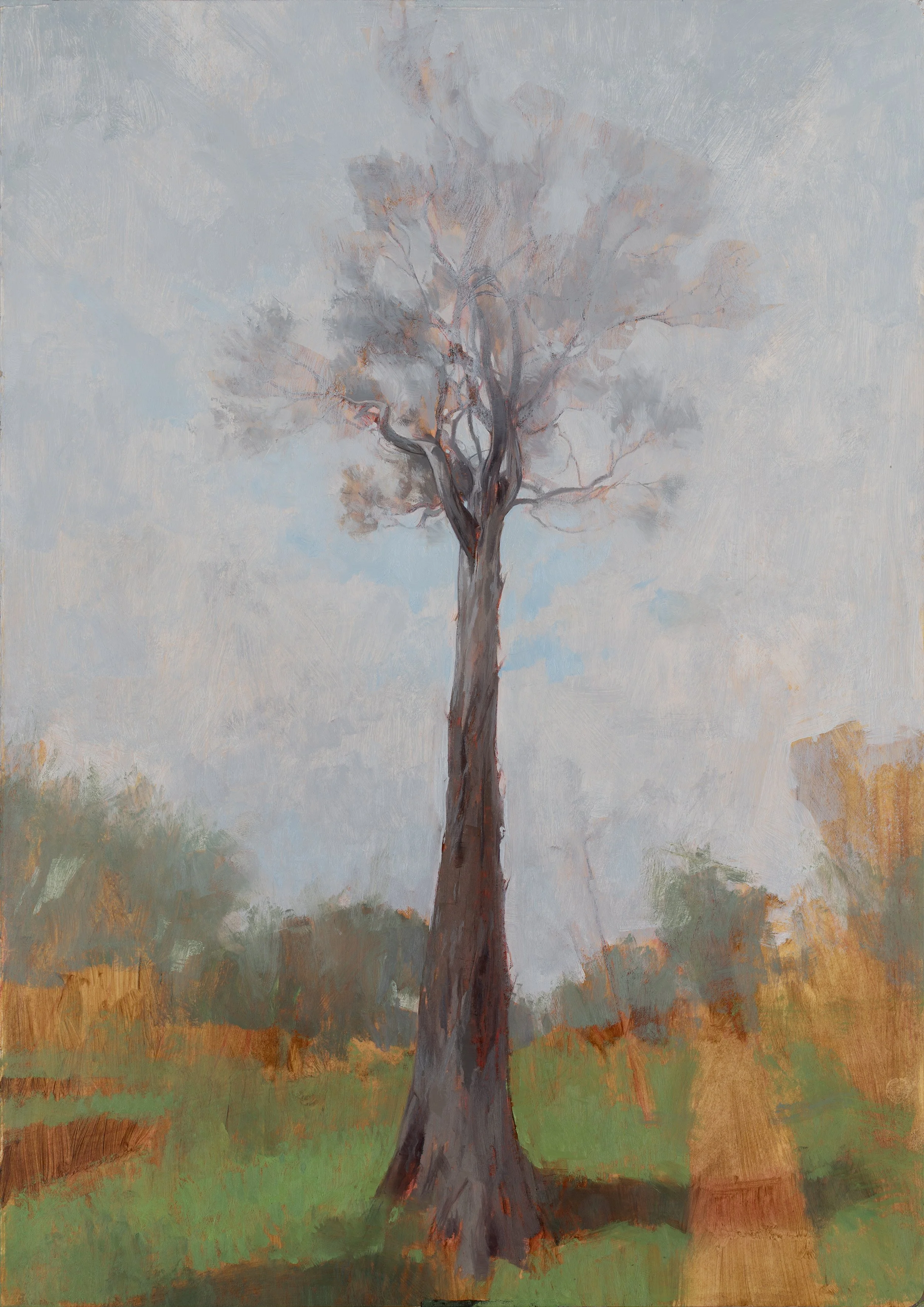 Little Big Tree Final_IG.jpg