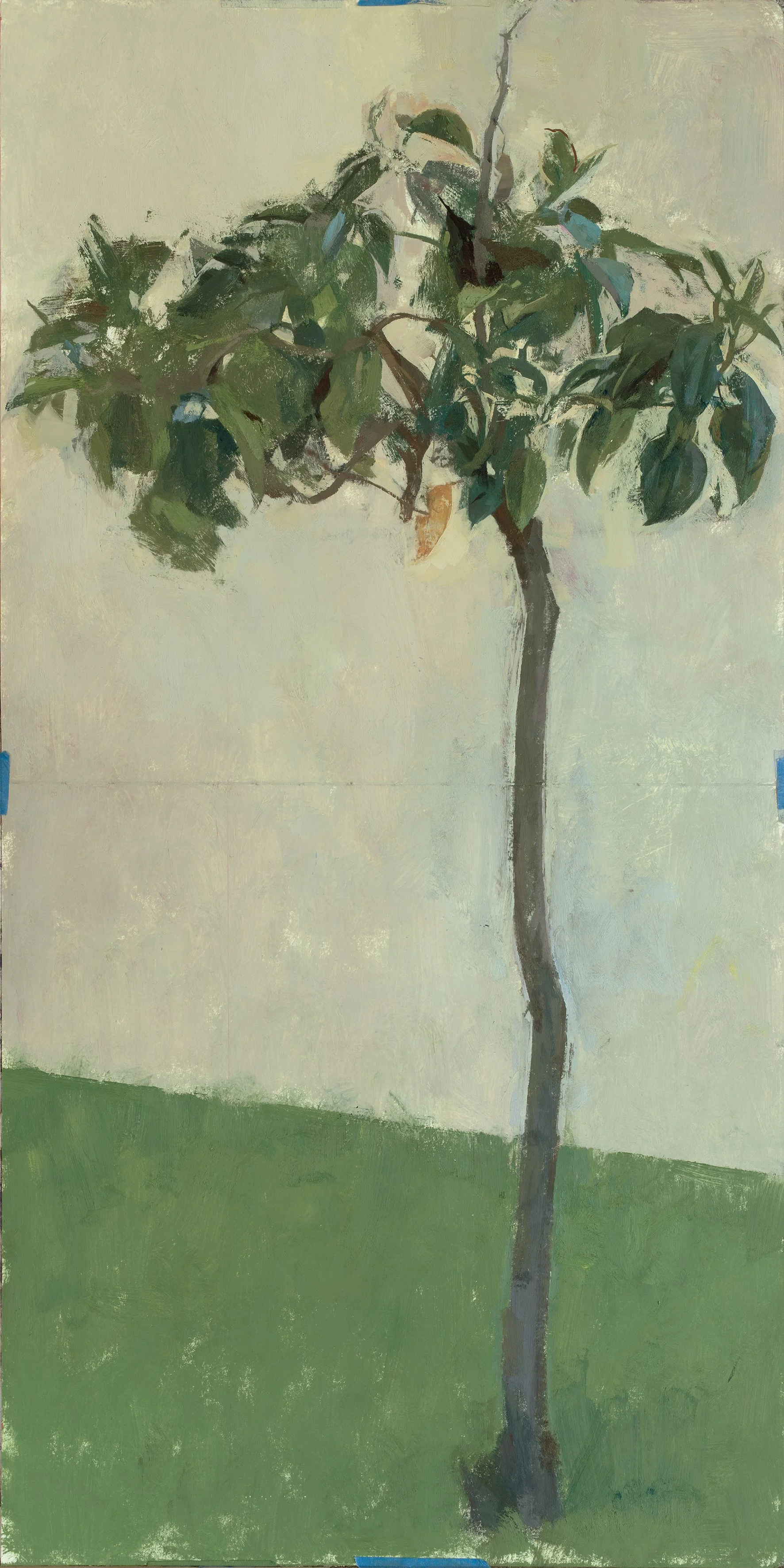 Samu Tree.jpg