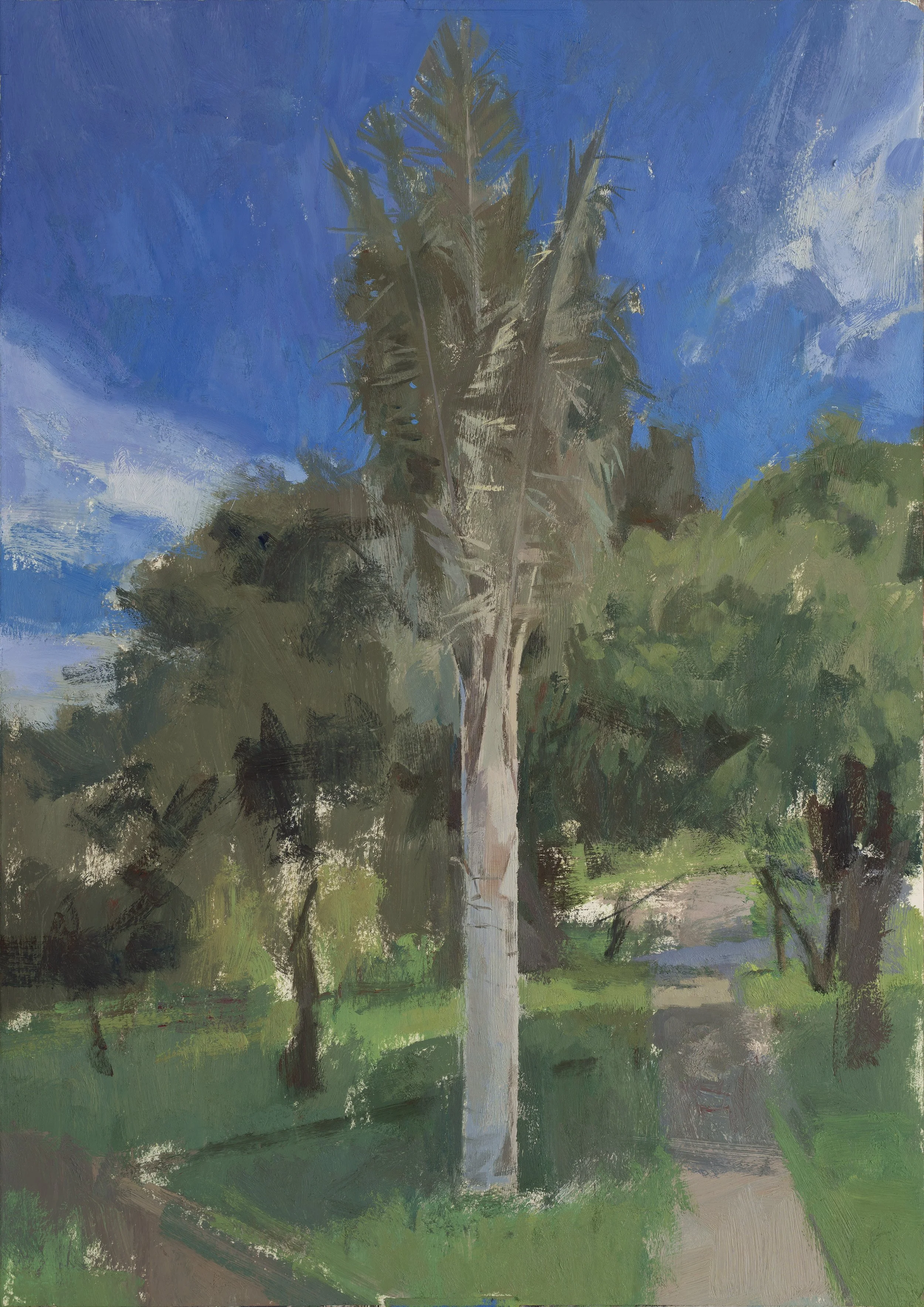 Wax Palm Tree Final.jpg