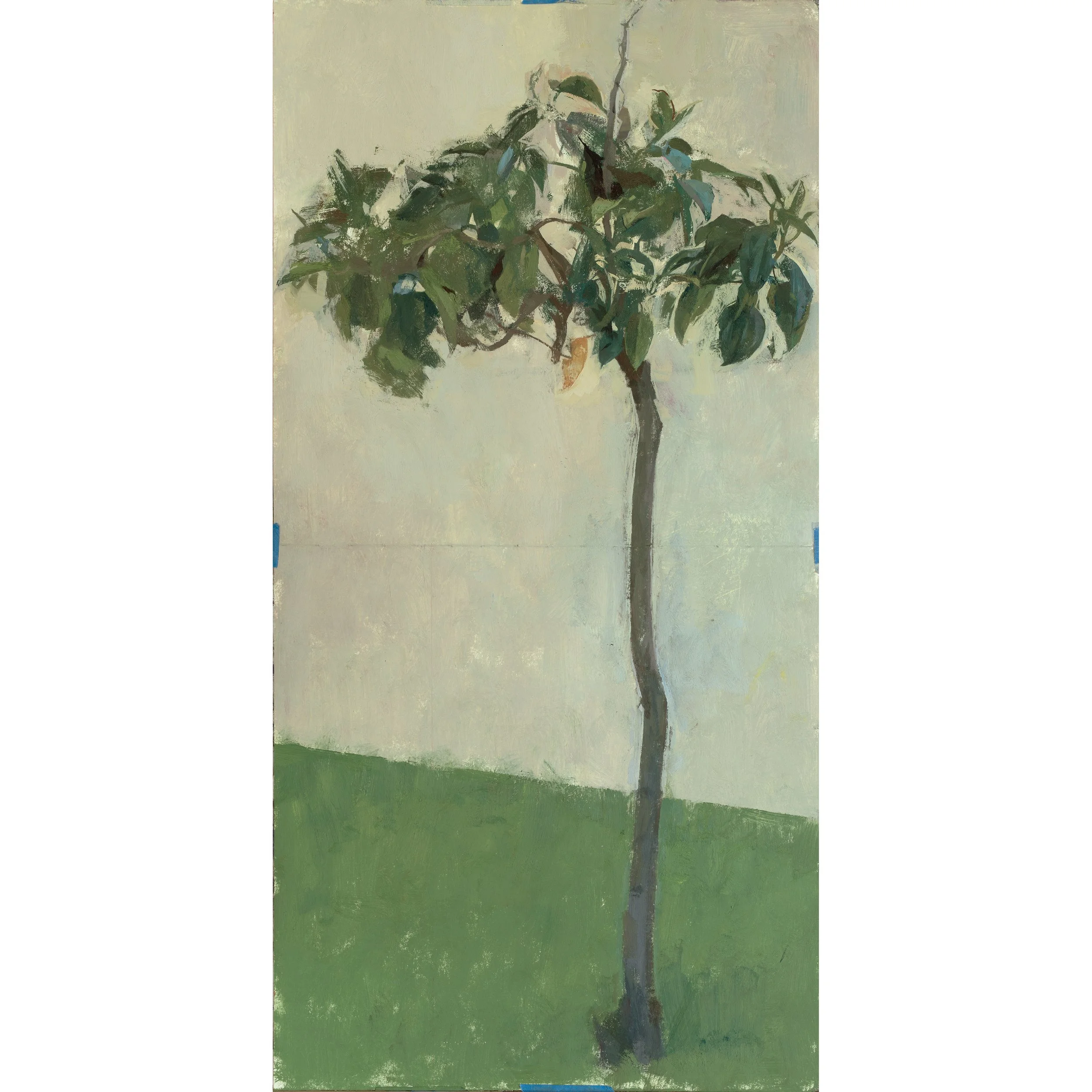 Samu Tree_IG.jpg