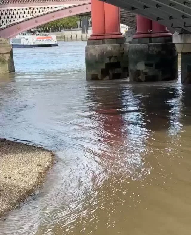 My time in September next to the Thames and under Blackfriars Bridge 'gave birth' to a number of paintings as part of the residency. Here are some close ups of 'Under Blackfriars Bridge III and IV'. I hope to have captured the energy and movement of 