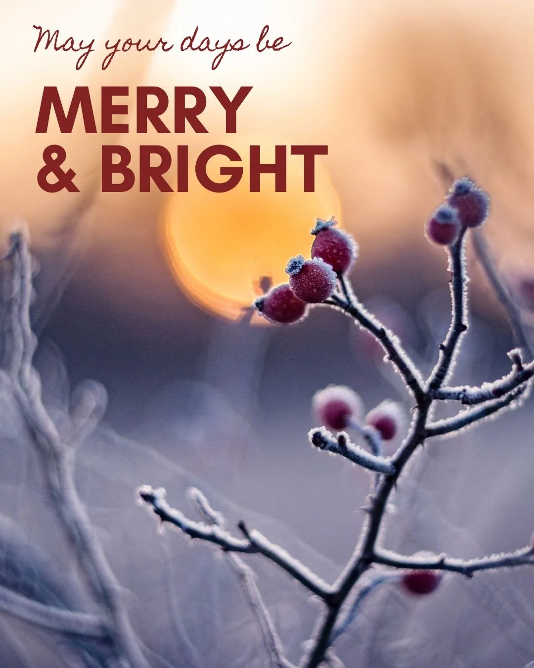 ⁠
Wishing everyone the brightest of days and a loving festive season.  I feel blessed to have had such a fulfilling creative year, especially my time in residence next to the Thames.  Lyra x