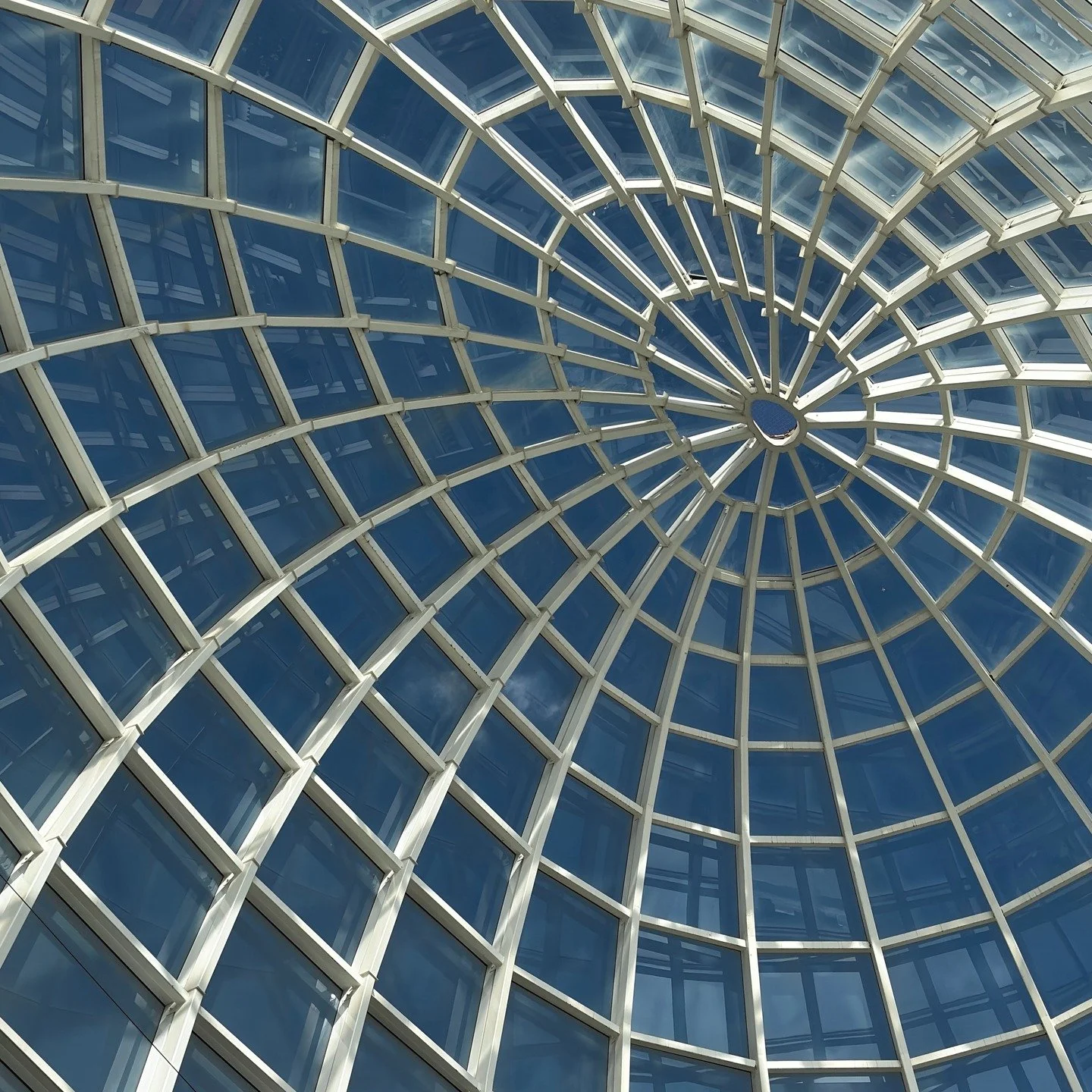 Shape and light. Scenes from the Orchid House, Estepona, Spain.